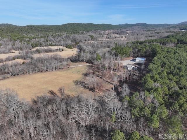 587  Owley  Mount Ida, AR