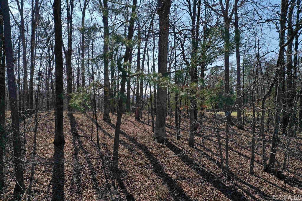 102  Fairway  Hot Springs, AR