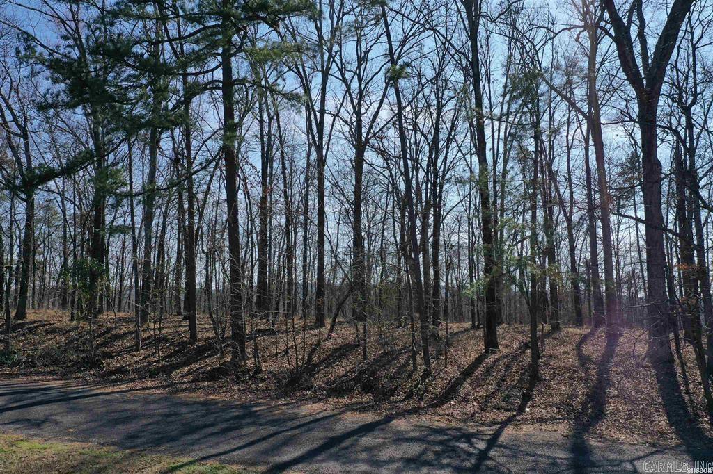 102  Fairway  Hot Springs, AR