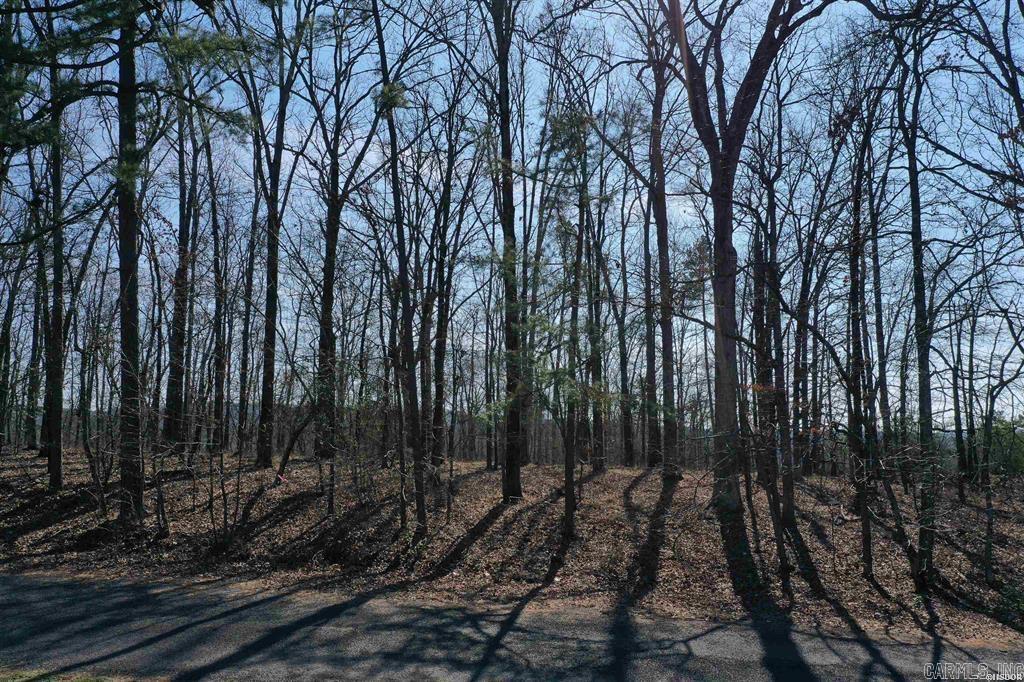 102  Fairway  Hot Springs, AR