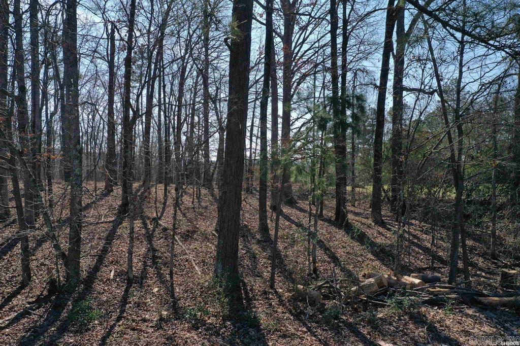 102  Fairway  Hot Springs, AR
