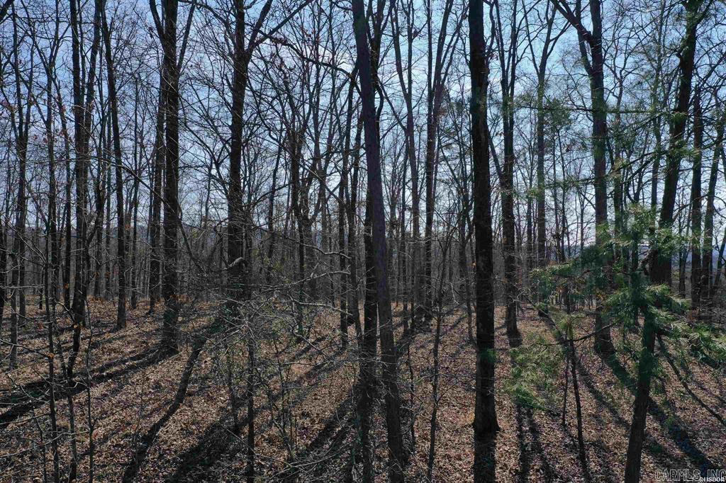 102  Fairway  Hot Springs, AR