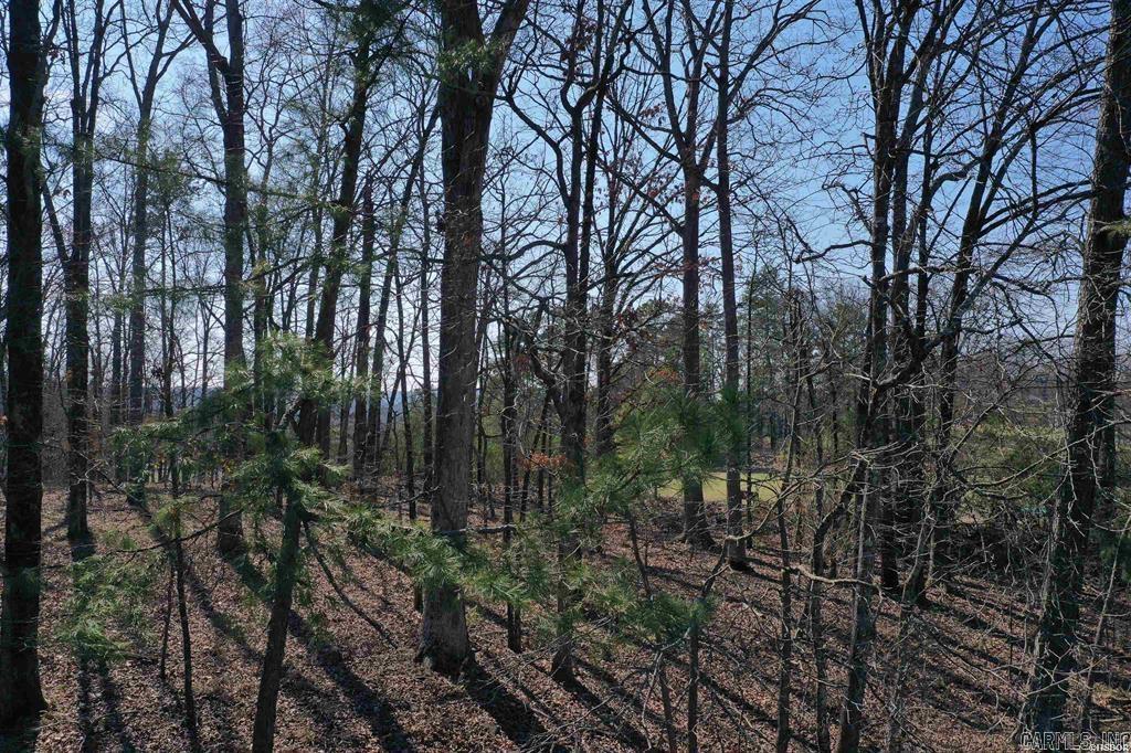 102  Fairway  Hot Springs, AR