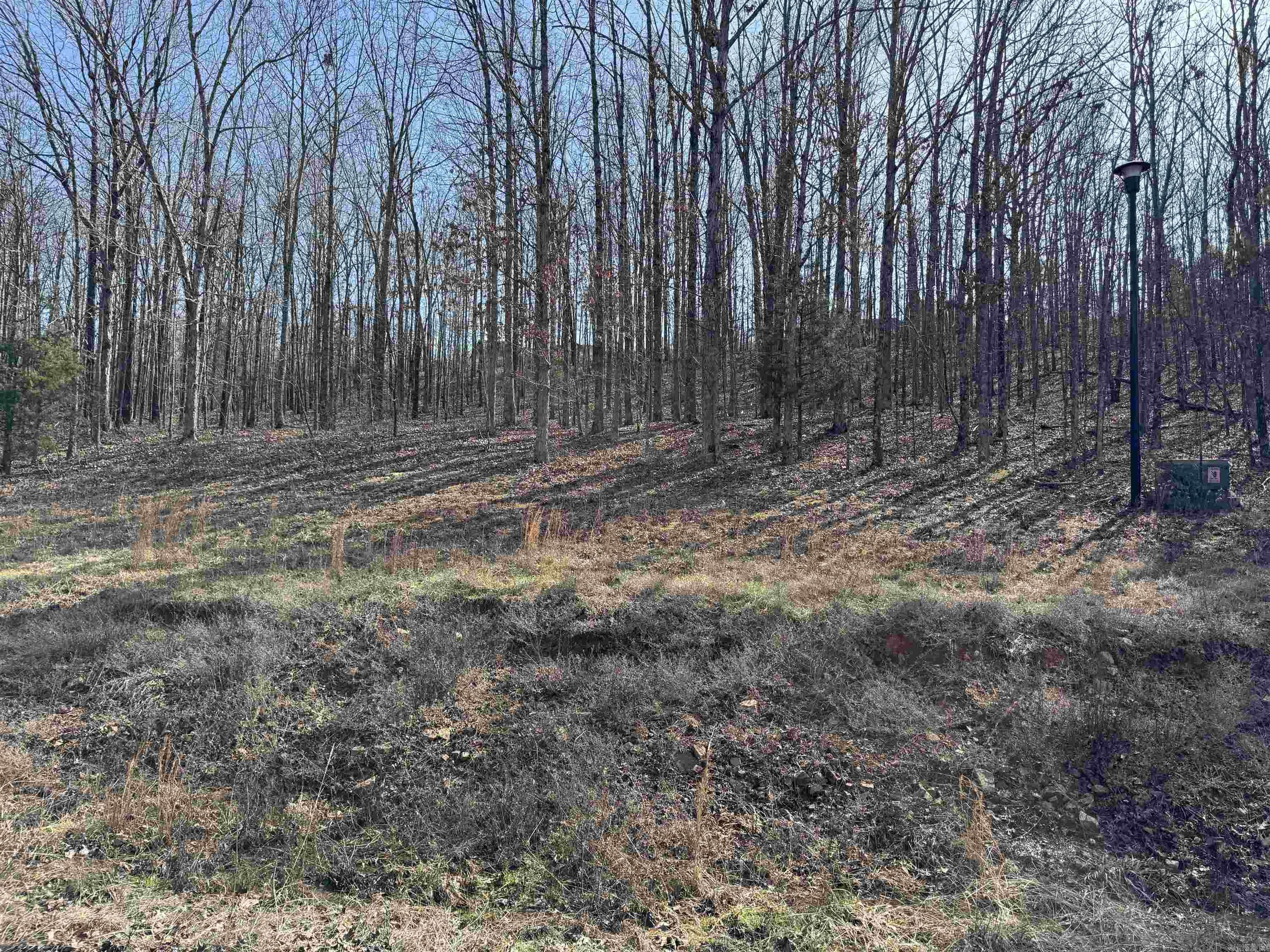 Lot 57  Rainbow Lake  Austin, AR