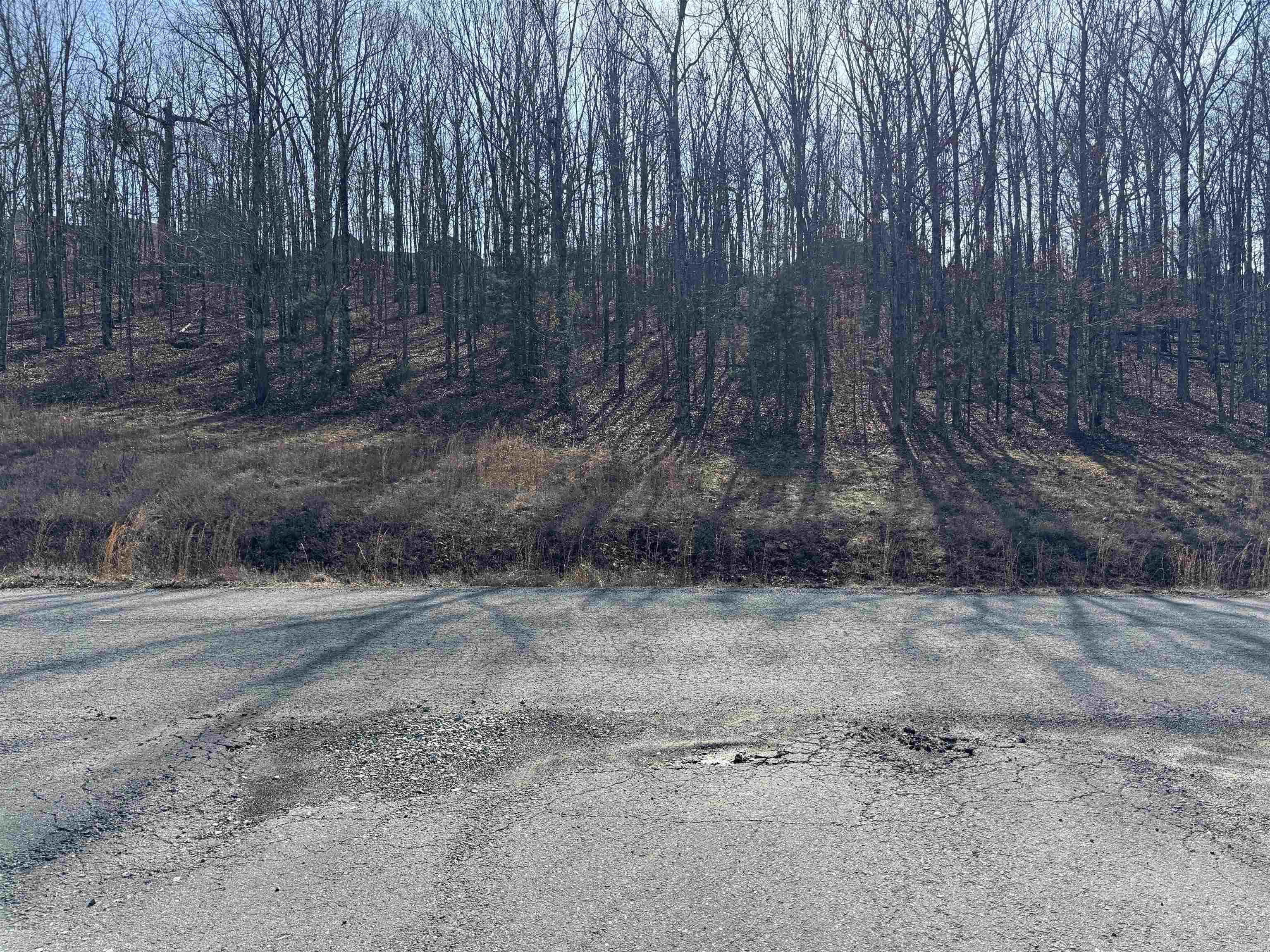 Lot 58  Rainbow Lake  Austin, AR