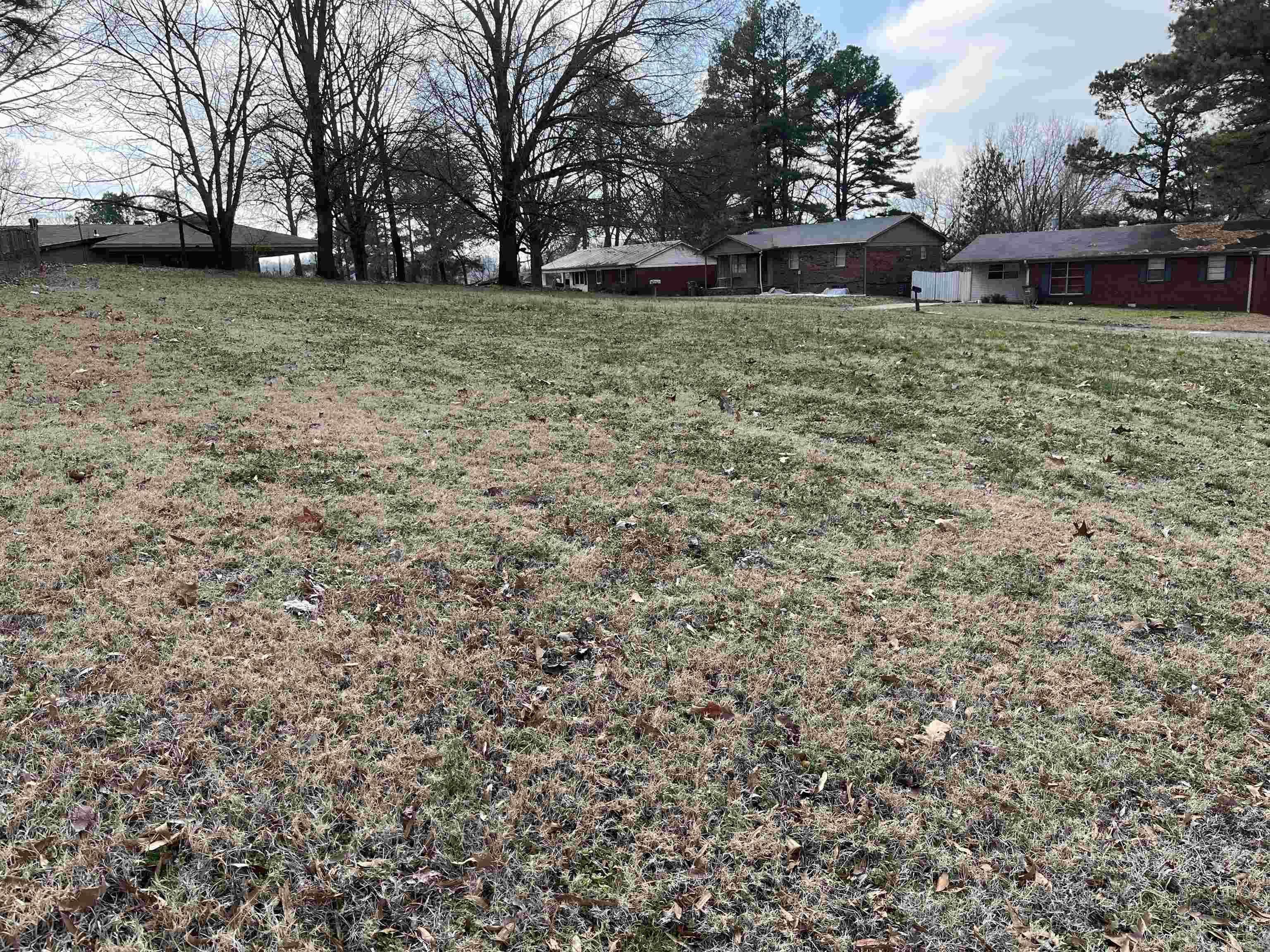   Maple  Wynne, AR