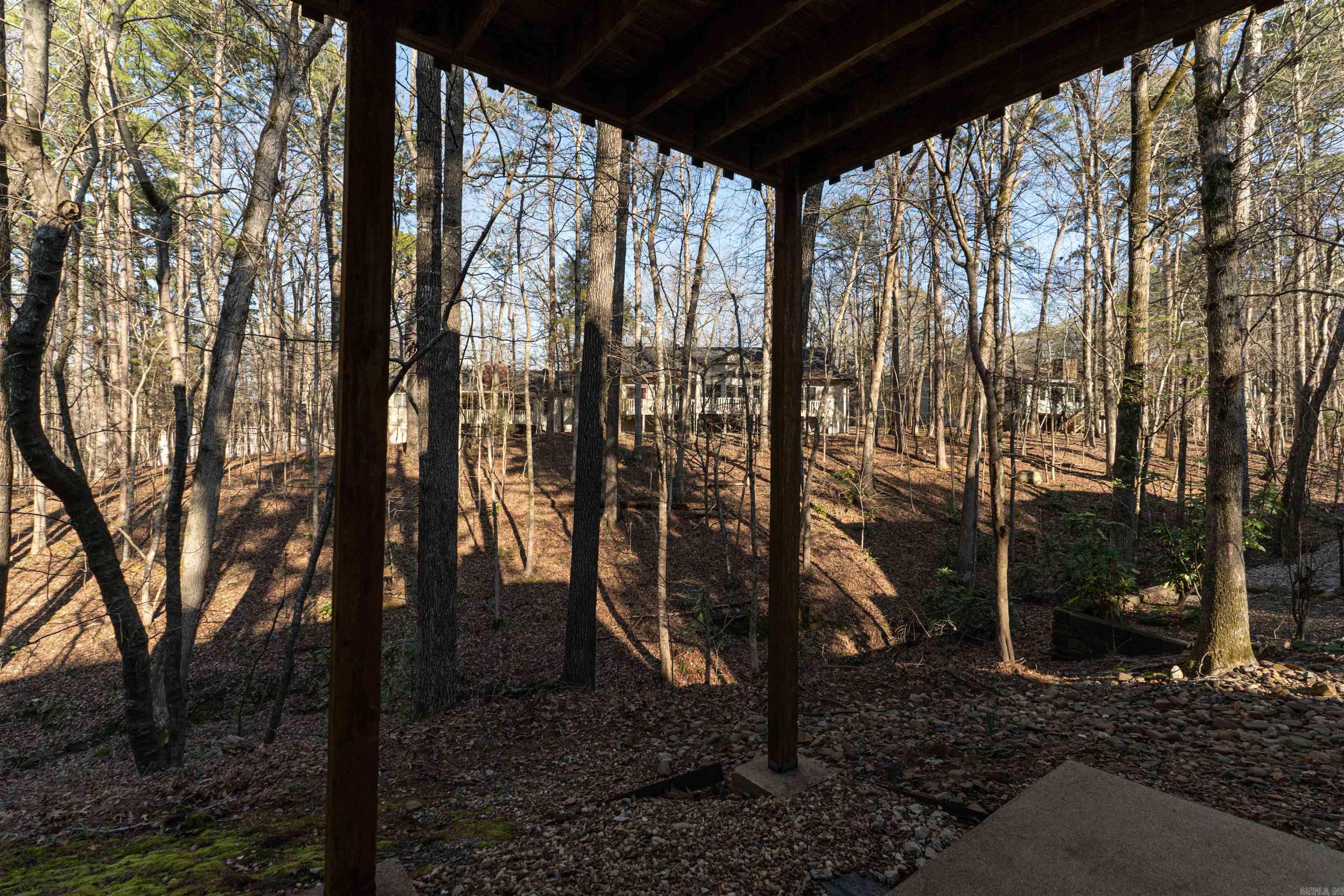 19  Emanuel  Hot Springs Village, AR