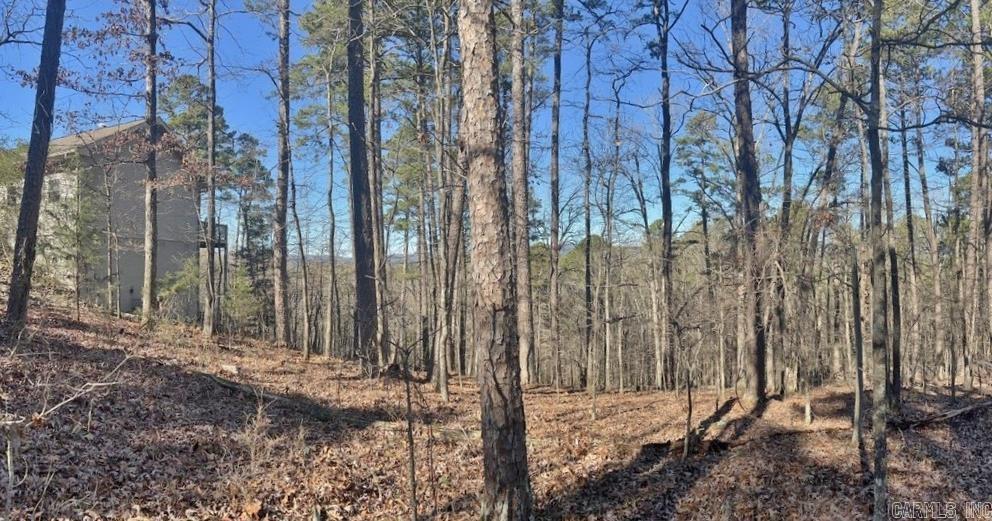 46  Mariposa  Hot Springs Village, AR