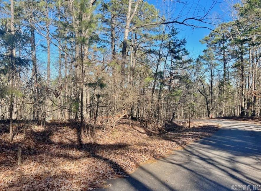 46  Mariposa  Hot Springs Village, AR