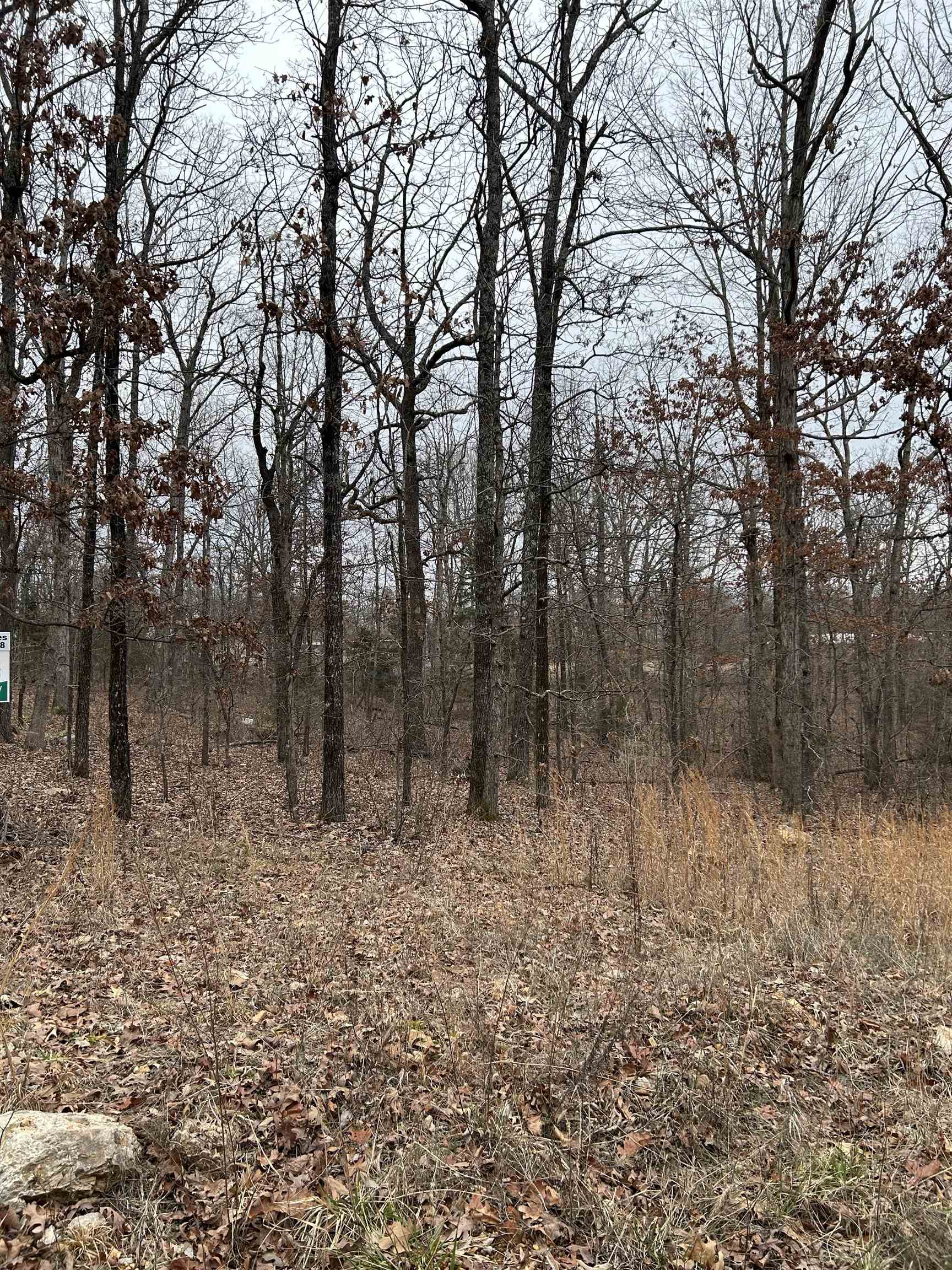 Lot 8 Blk 3  Medicine Lodge  Ozark Acres, AR