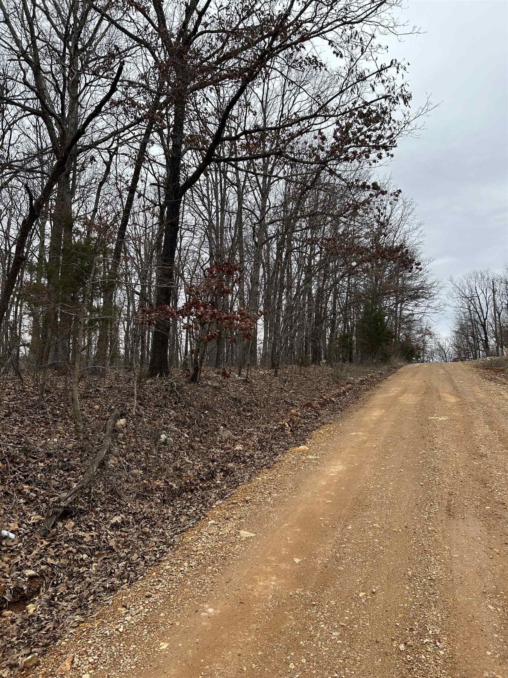 Lot 8 Blk 3  Medicine Lodge  Ozark Acres, AR
