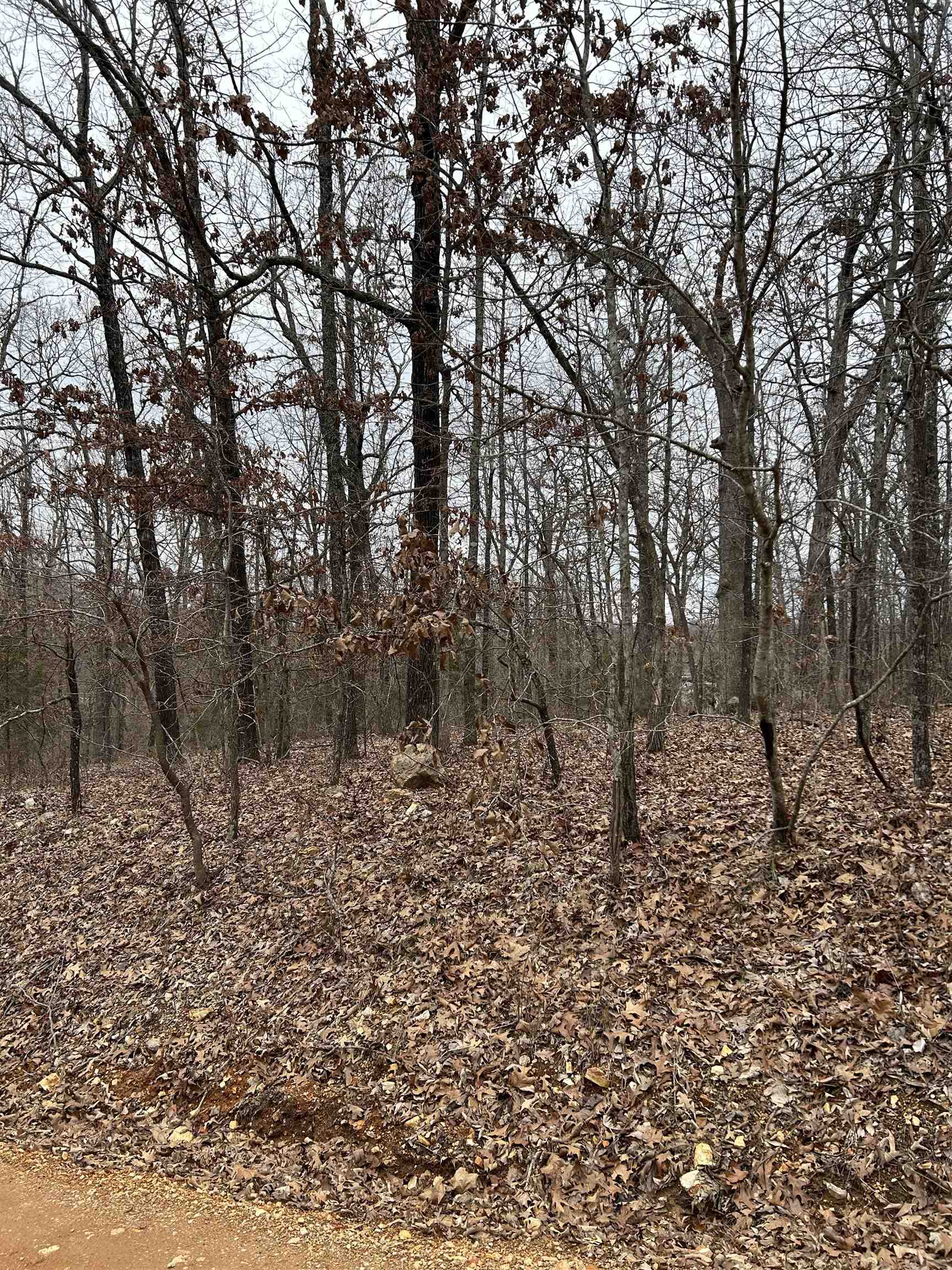 Lot 8 Blk 3  Medicine Lodge  Ozark Acres, AR