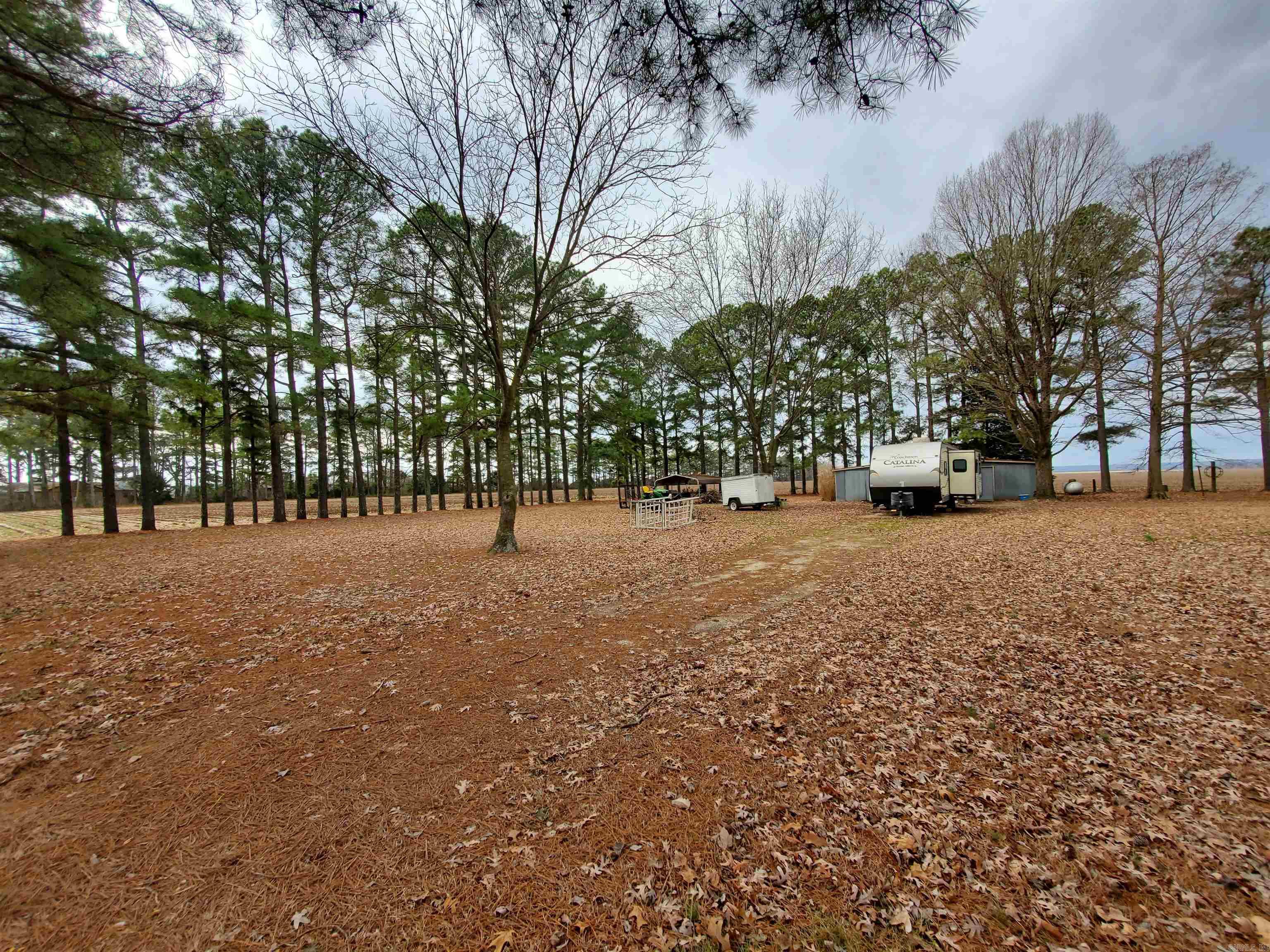 1843  CR 533  Rector, AR