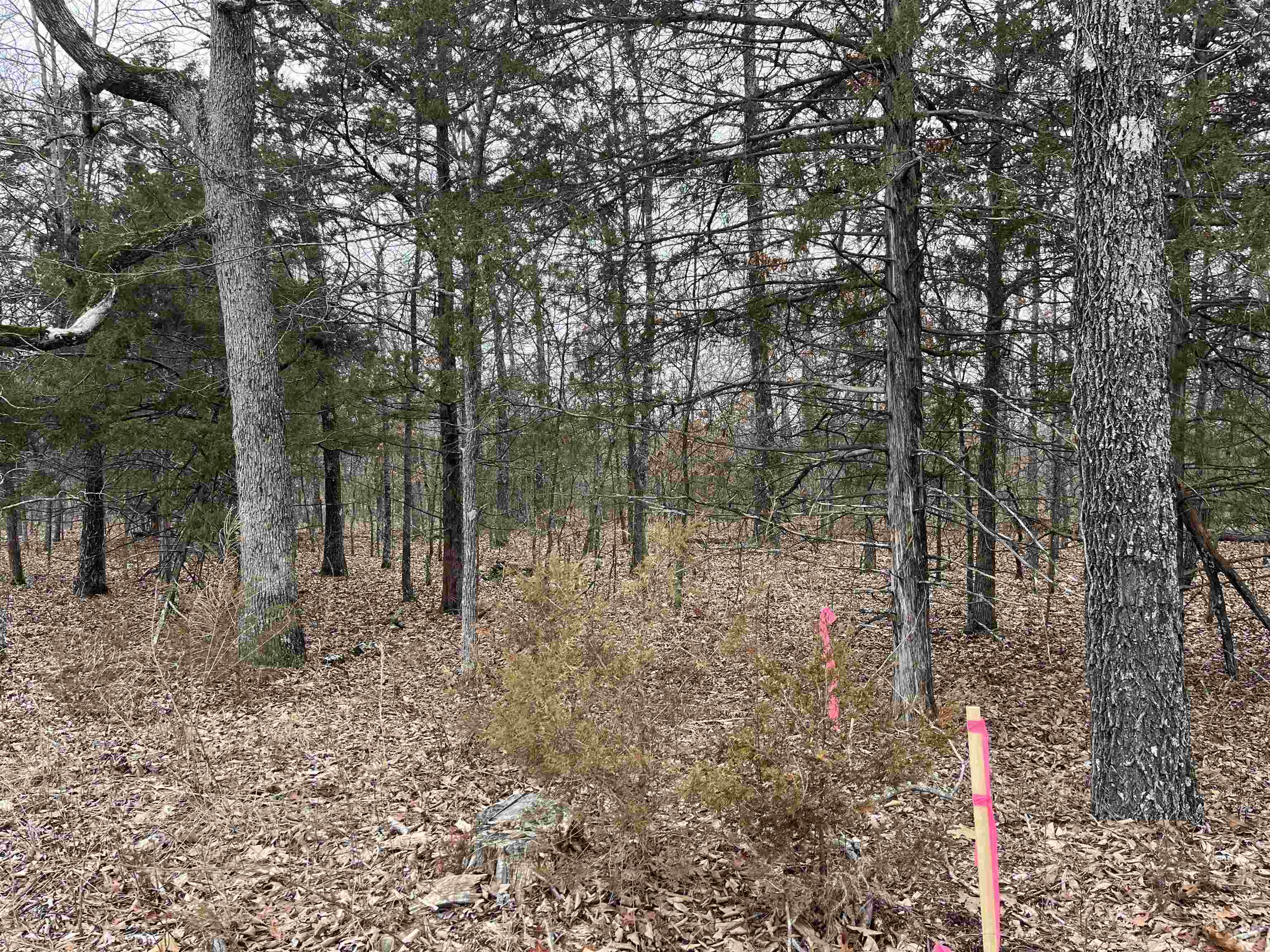 2108 & 2110  Hillcrest Dr  Horseshoe Bend, AR