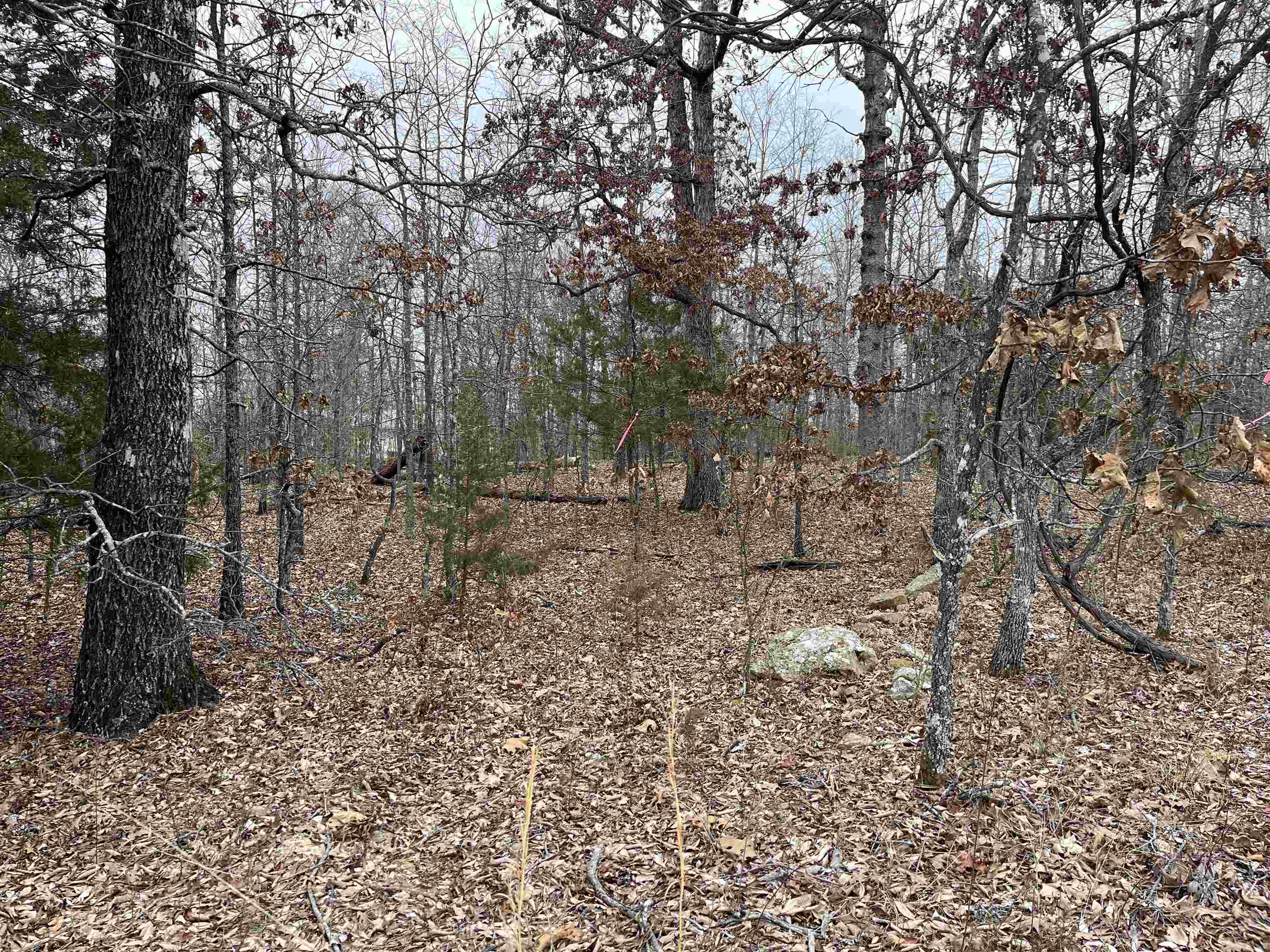 2108 & 2110  Hillcrest Dr  Horseshoe Bend, AR