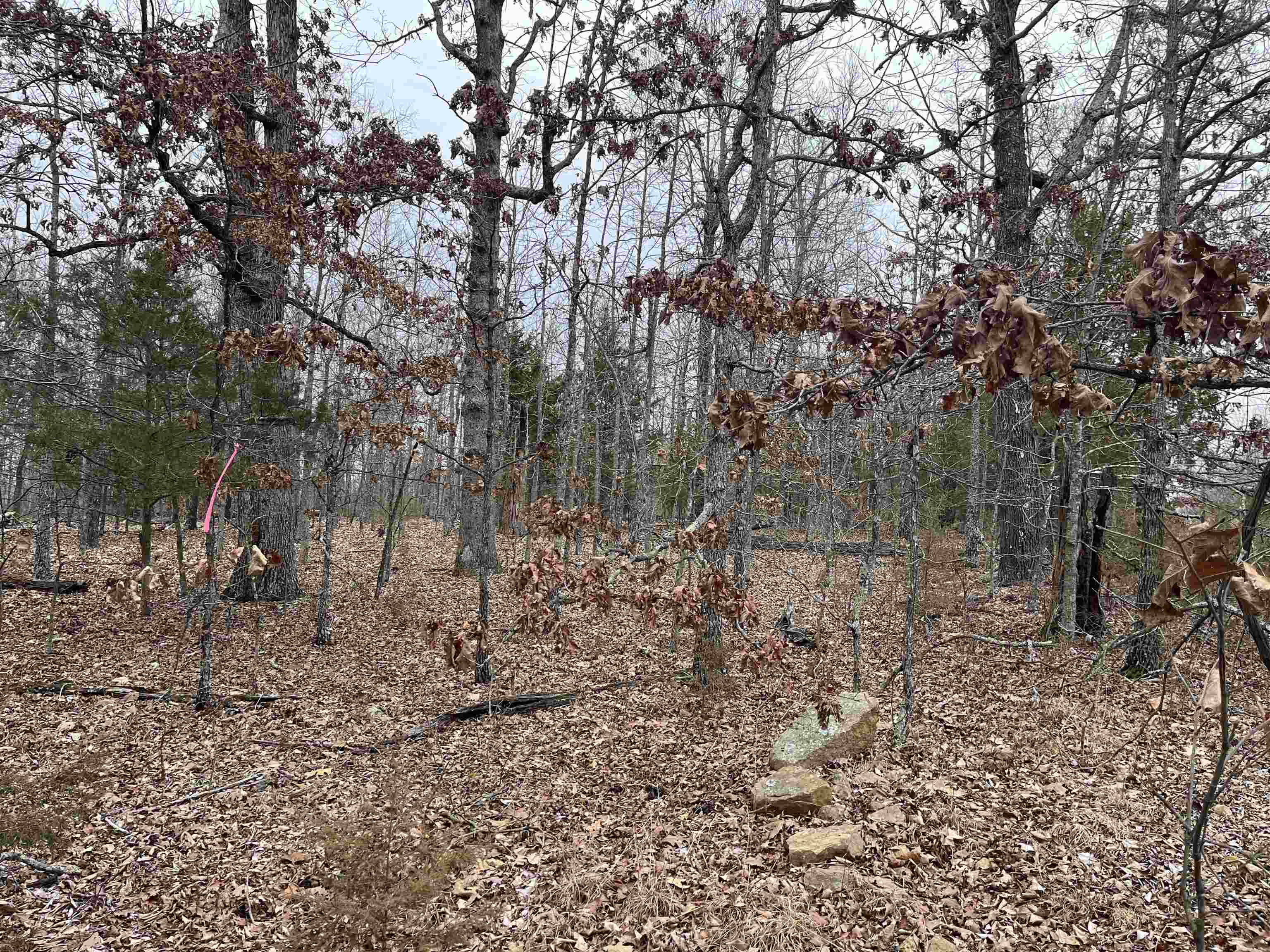 2108 & 2110  Hillcrest Dr  Horseshoe Bend, AR