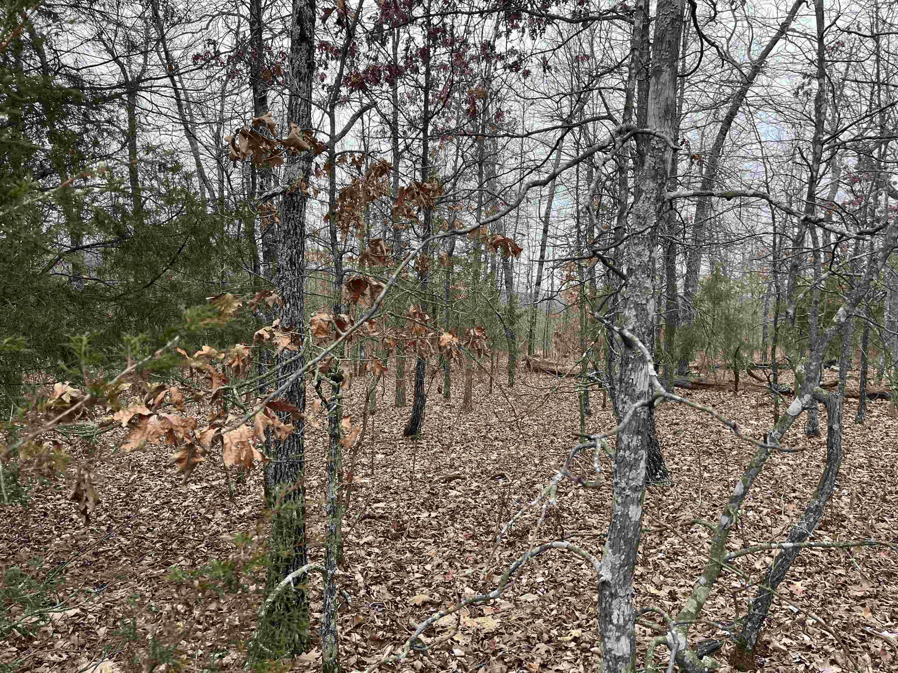 2108 & 2110  Hillcrest Dr  Horseshoe Bend, AR