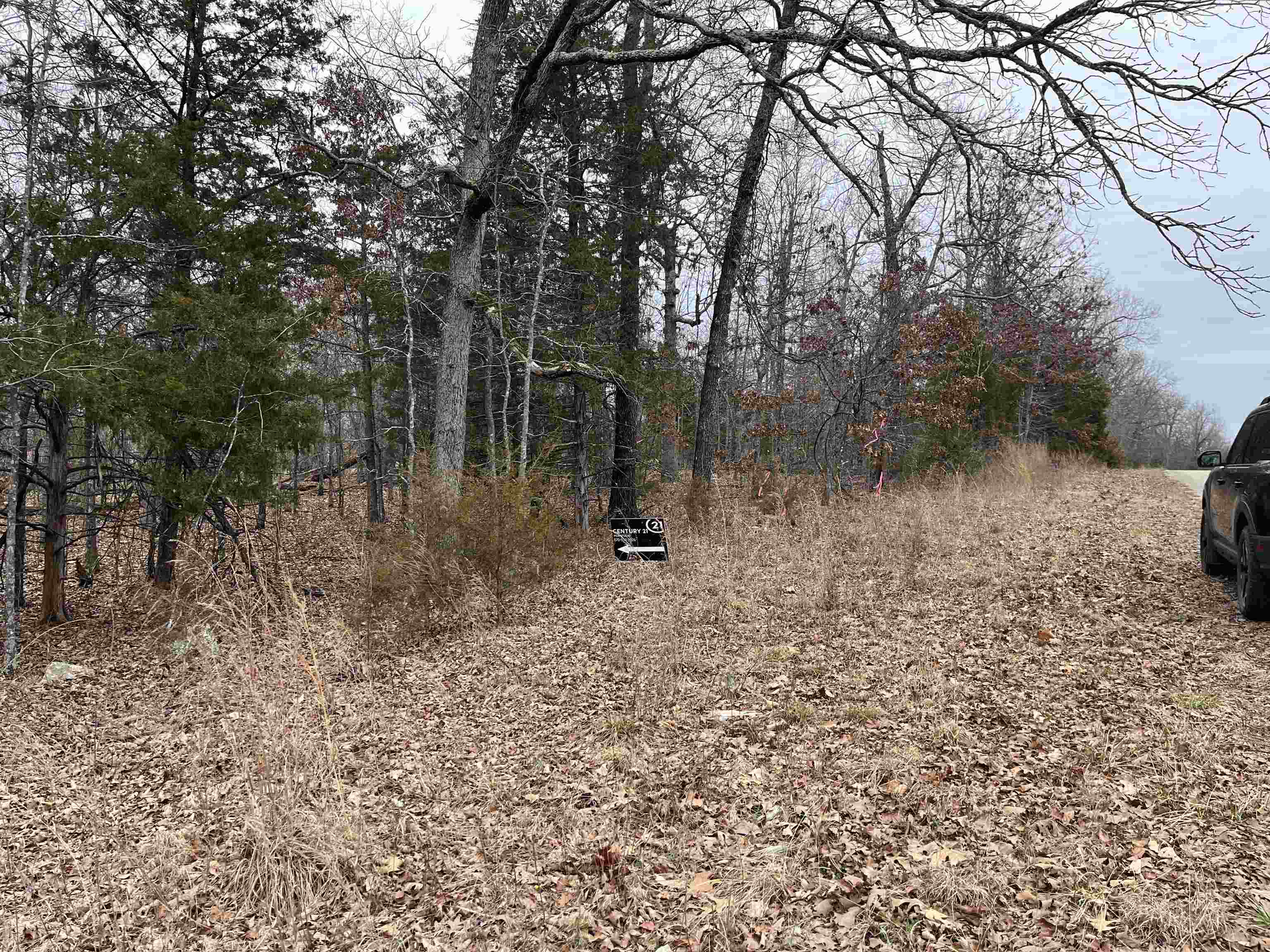 2108 & 2110  Hillcrest Dr  Horseshoe Bend, AR