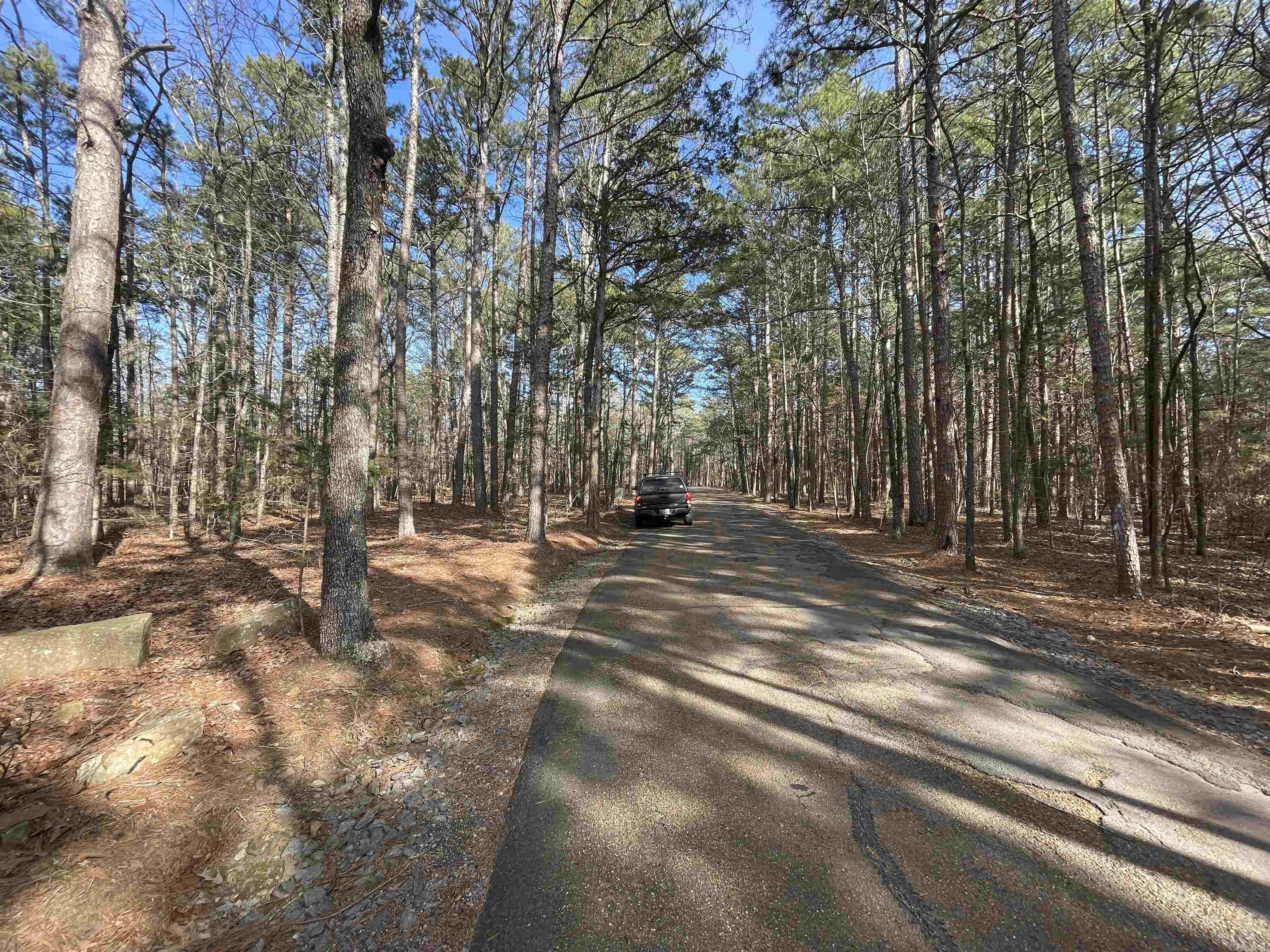 Lot 78 Tannenbaum Rd. Drasco, AR 72530
