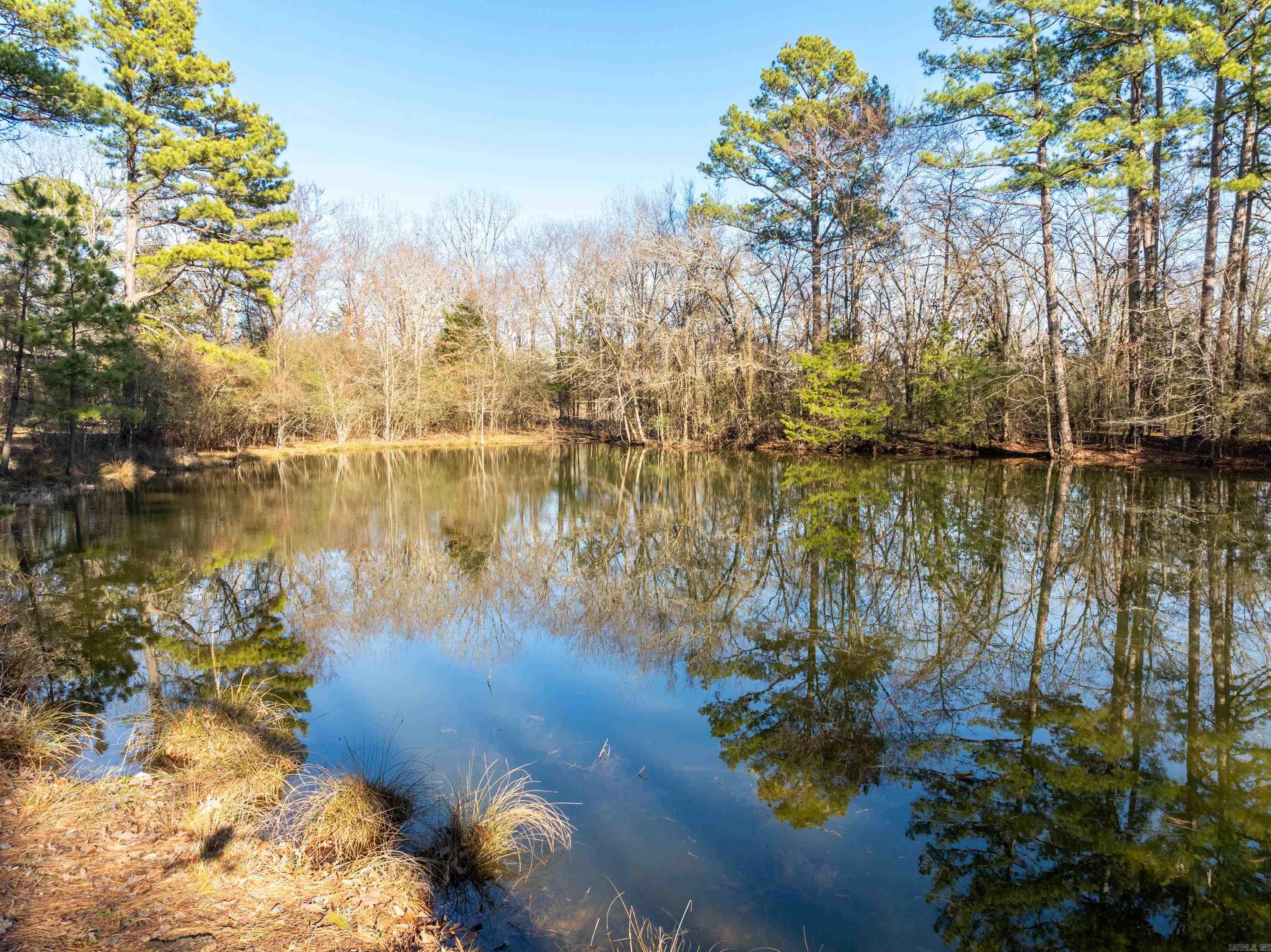 000  Owl Creek  Royal, AR