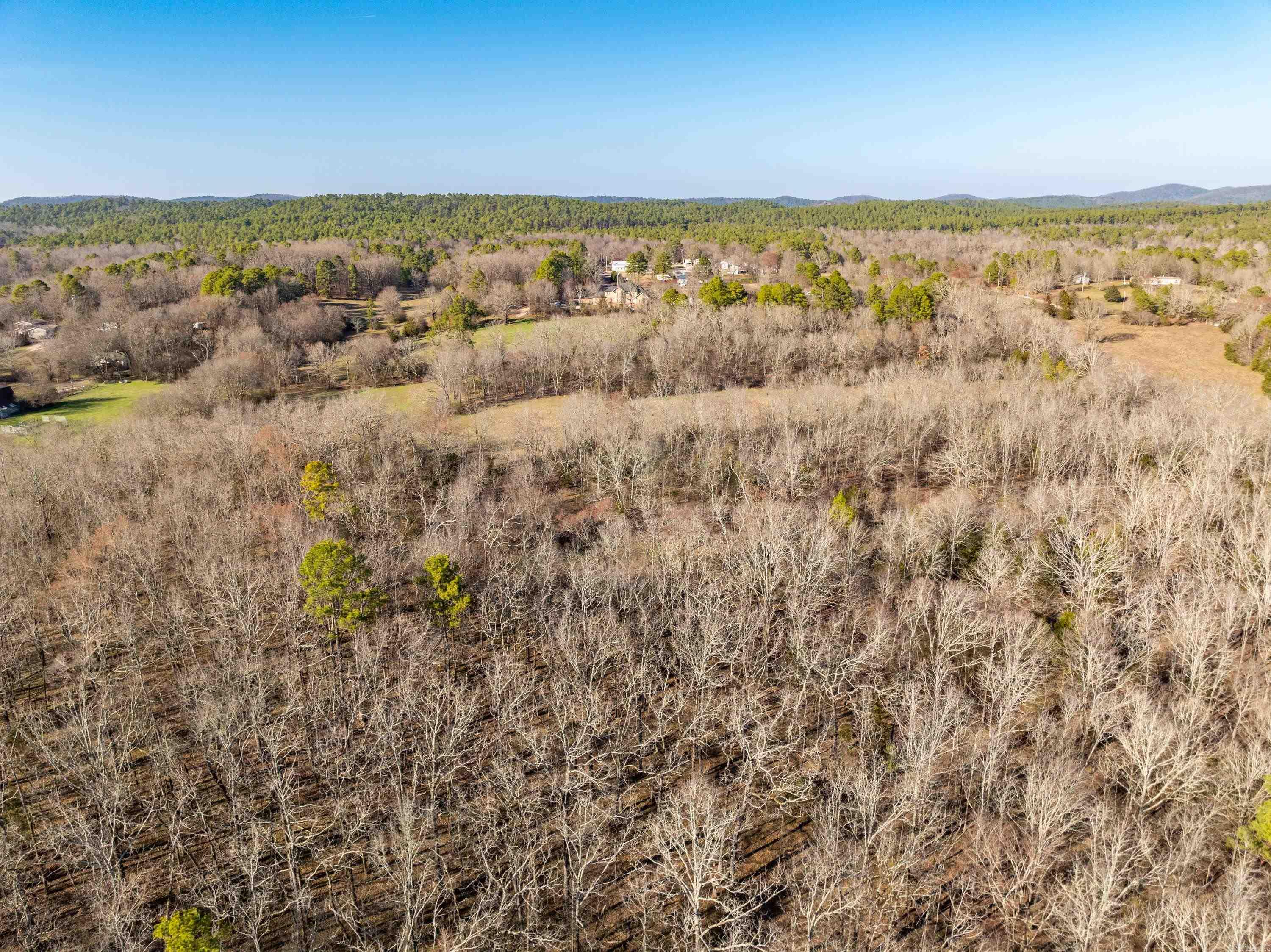 000  Owl Creek  Royal, AR