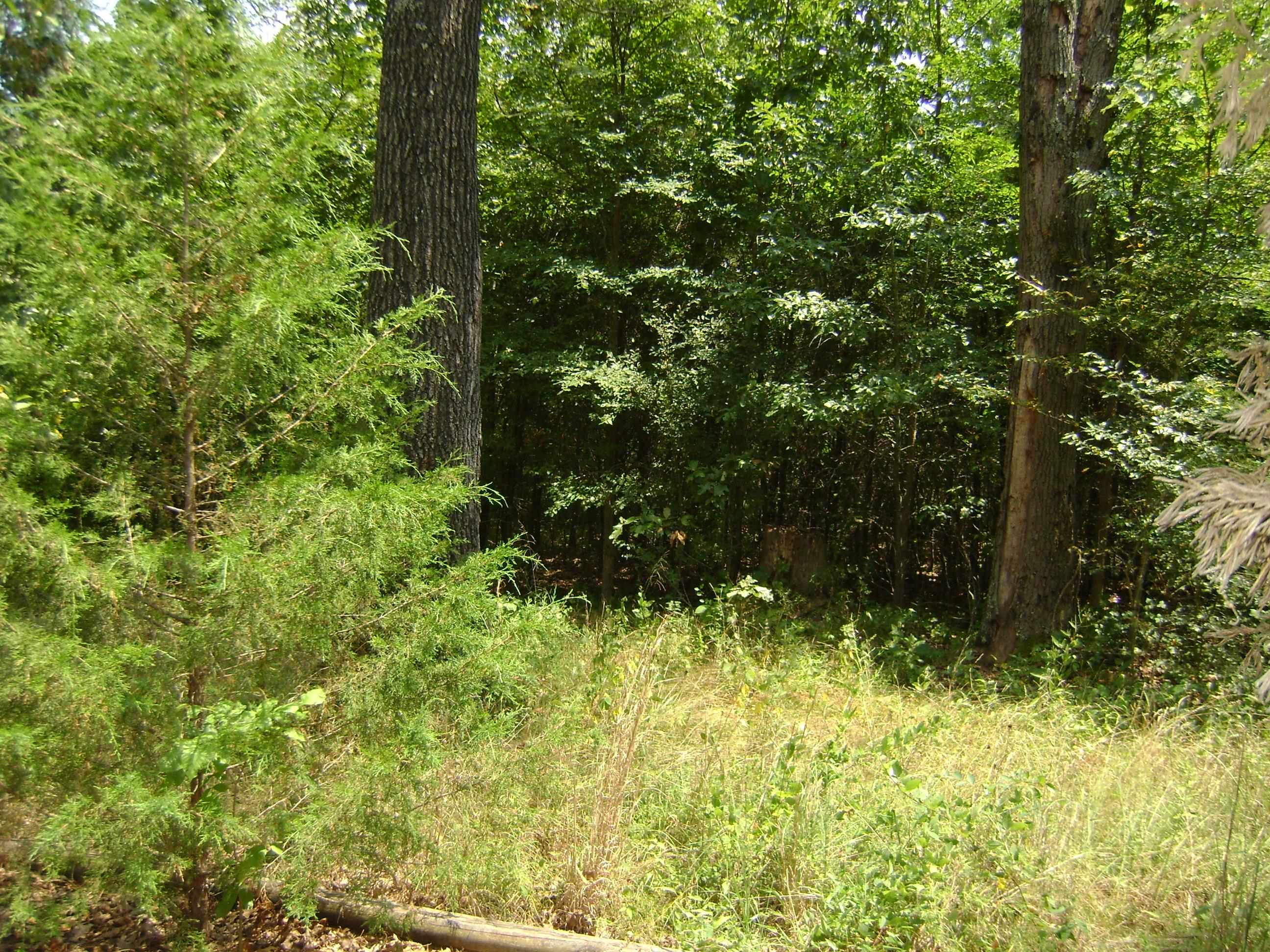 206 & 208 Wedge Road  Horseshoe Bend, AR