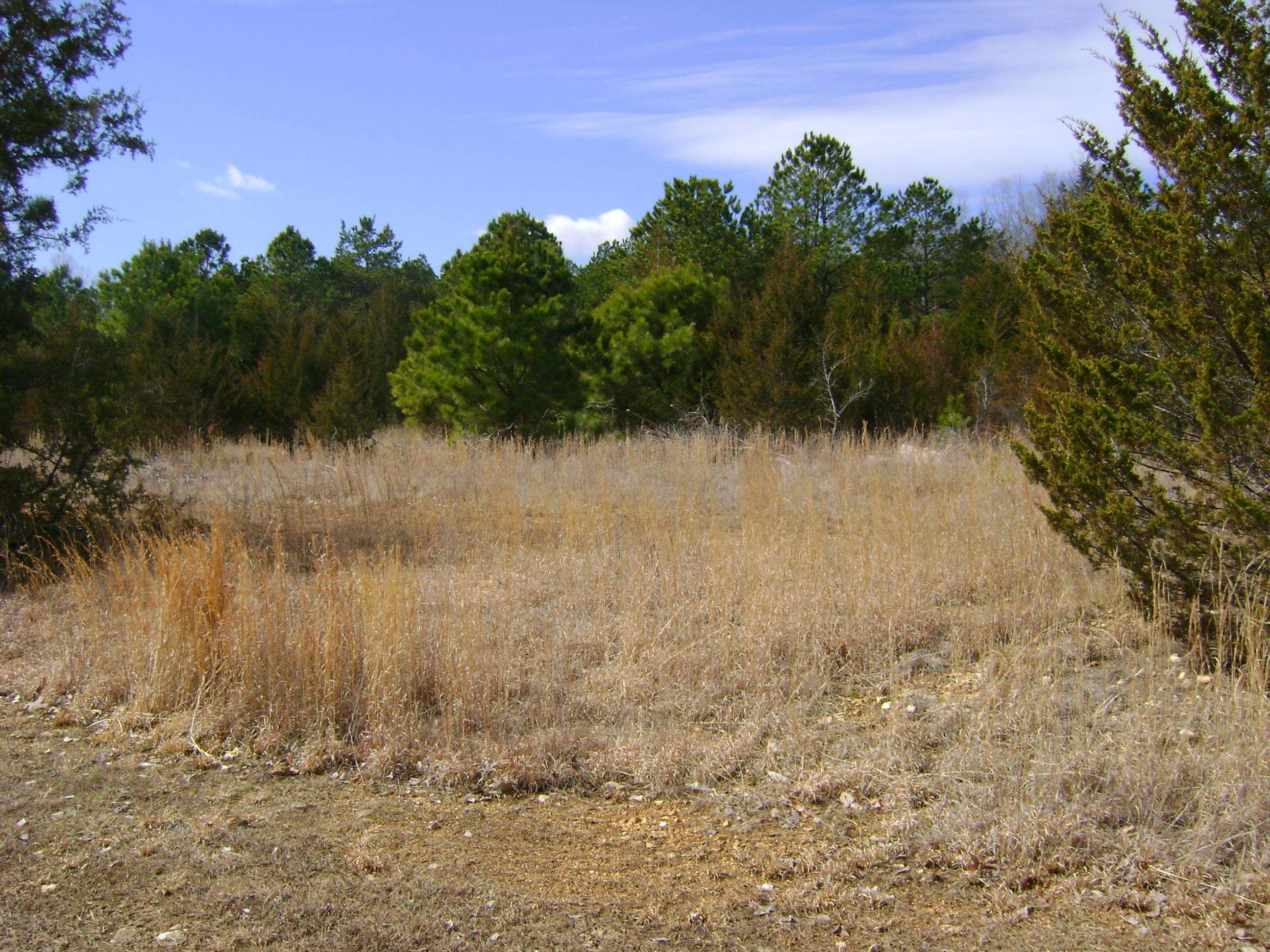 206 & 208 Wedge Road  Horseshoe Bend, AR