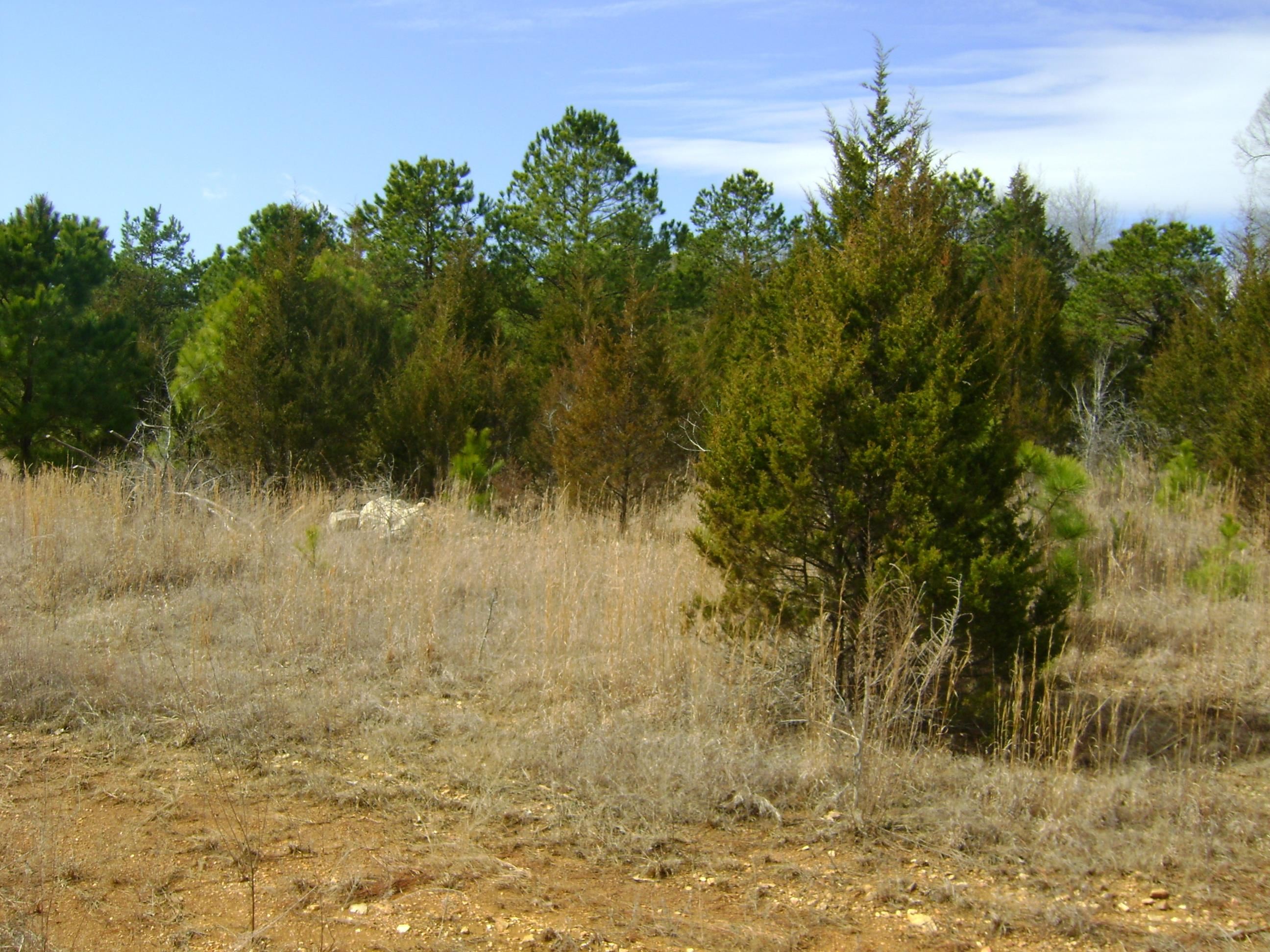 206 & 208 Wedge Road  Horseshoe Bend, AR