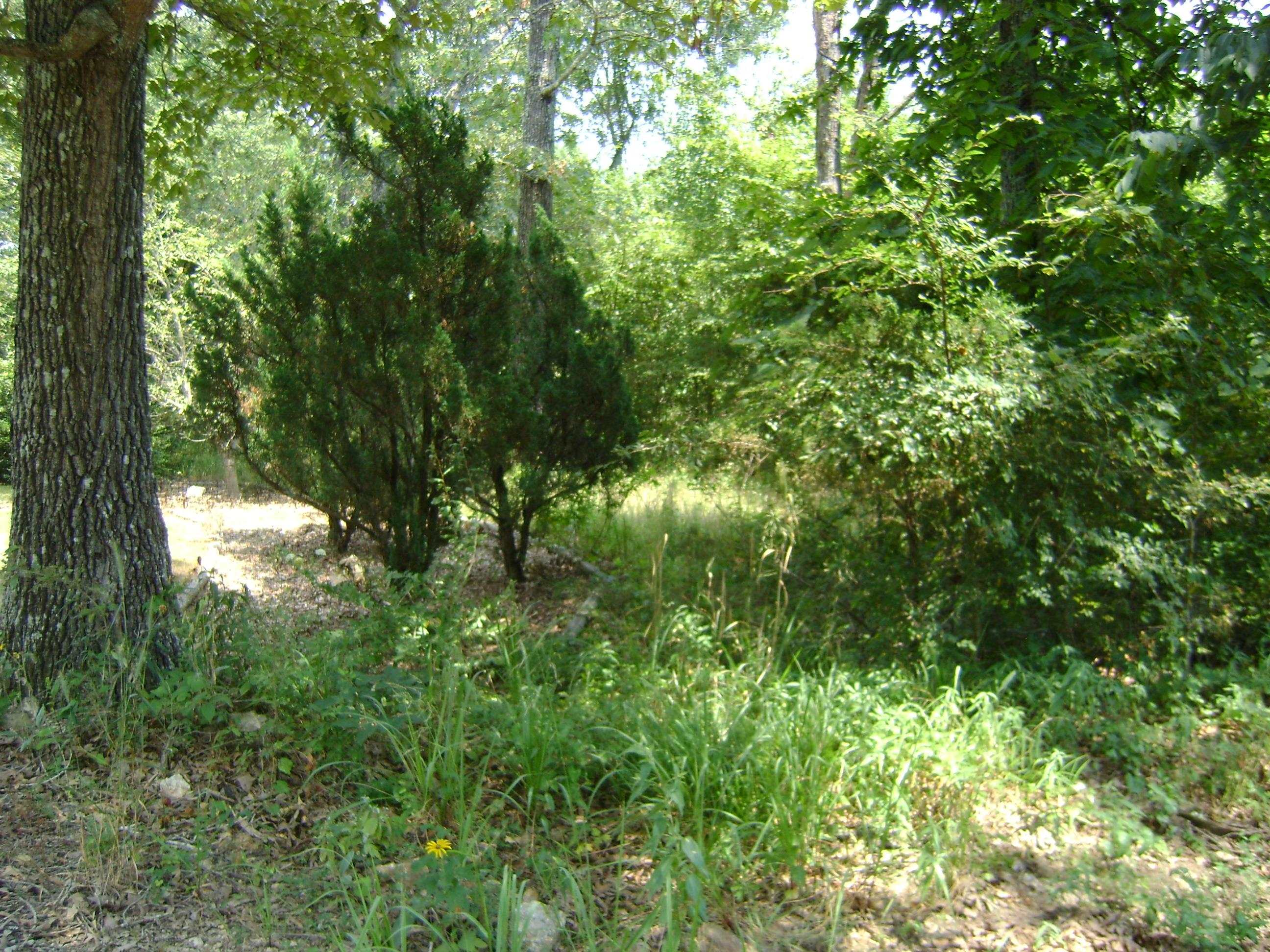 206 & 208 Wedge Road  Horseshoe Bend, AR