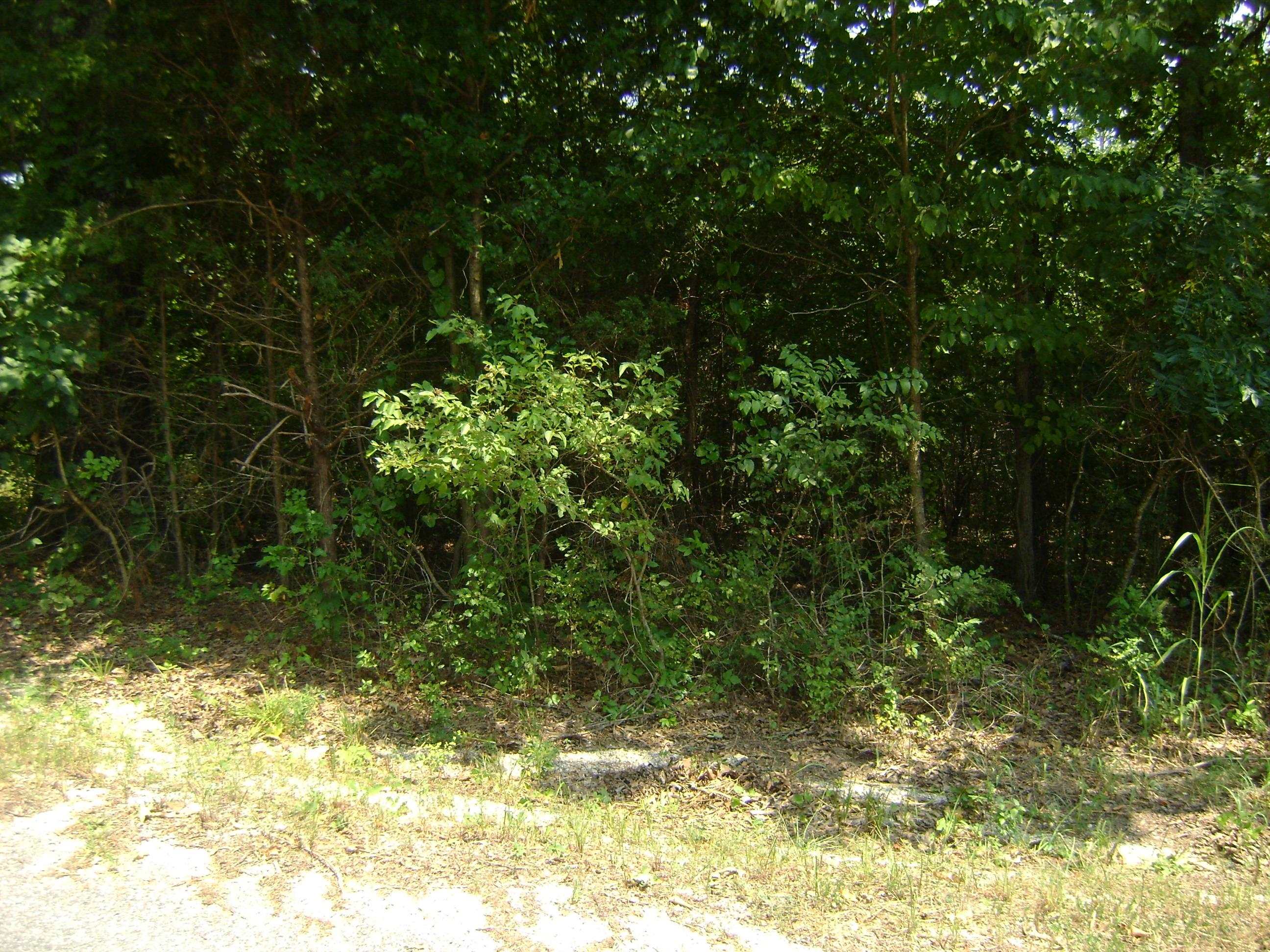 206 & 208 Wedge Road  Horseshoe Bend, AR