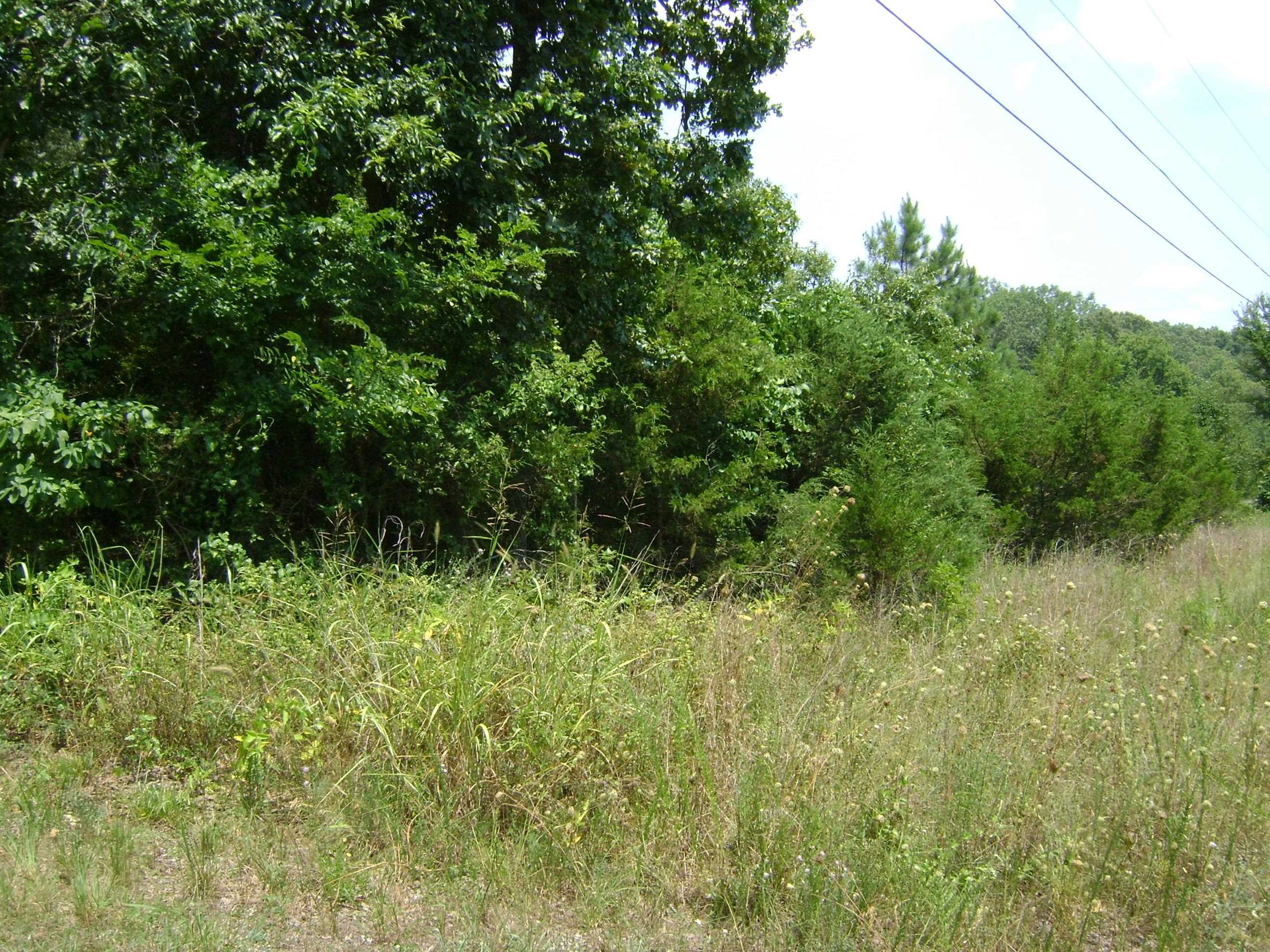 206 & 208 Wedge Road  Horseshoe Bend, AR