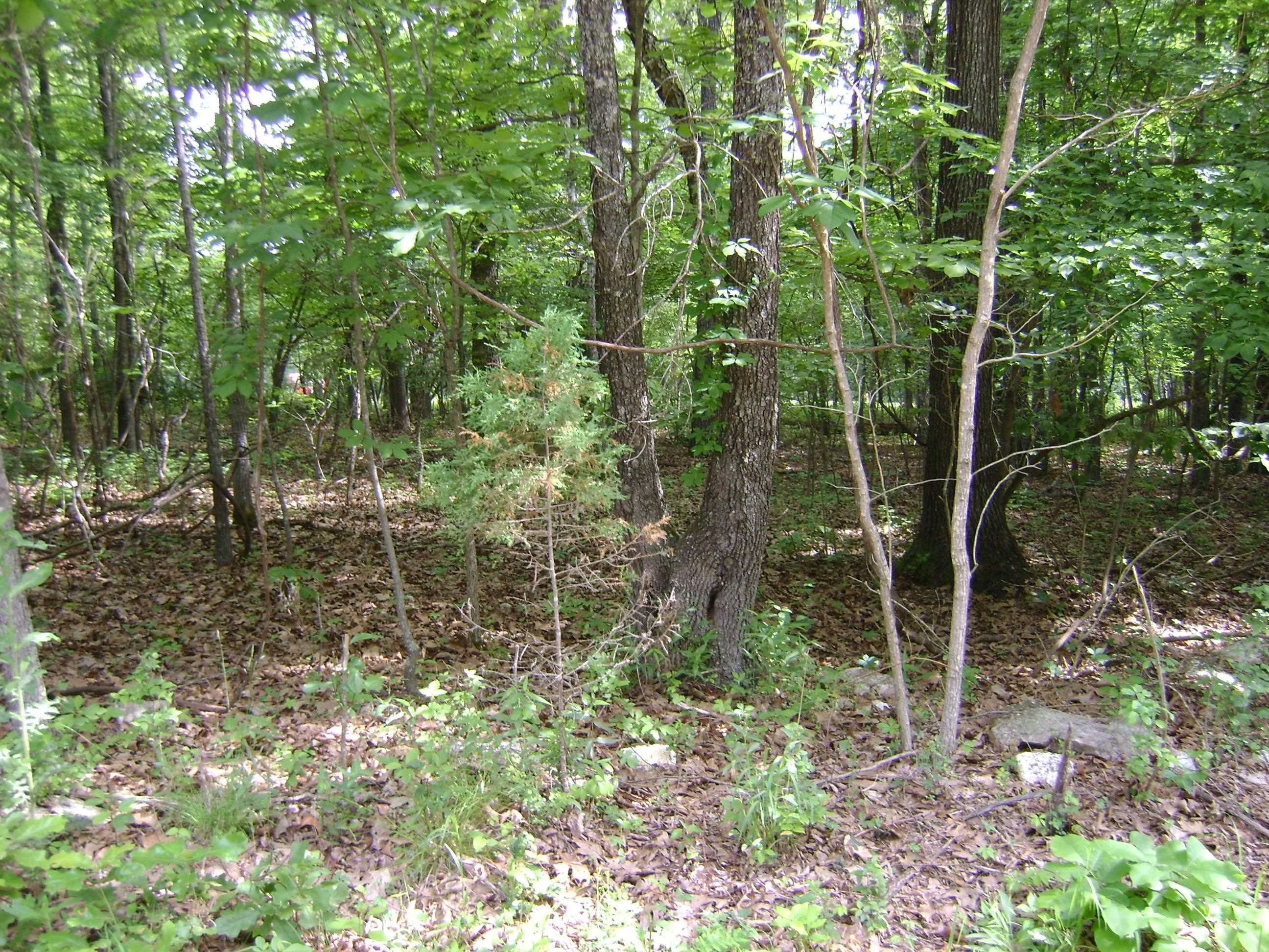 206 & 208 Wedge Road  Horseshoe Bend, AR