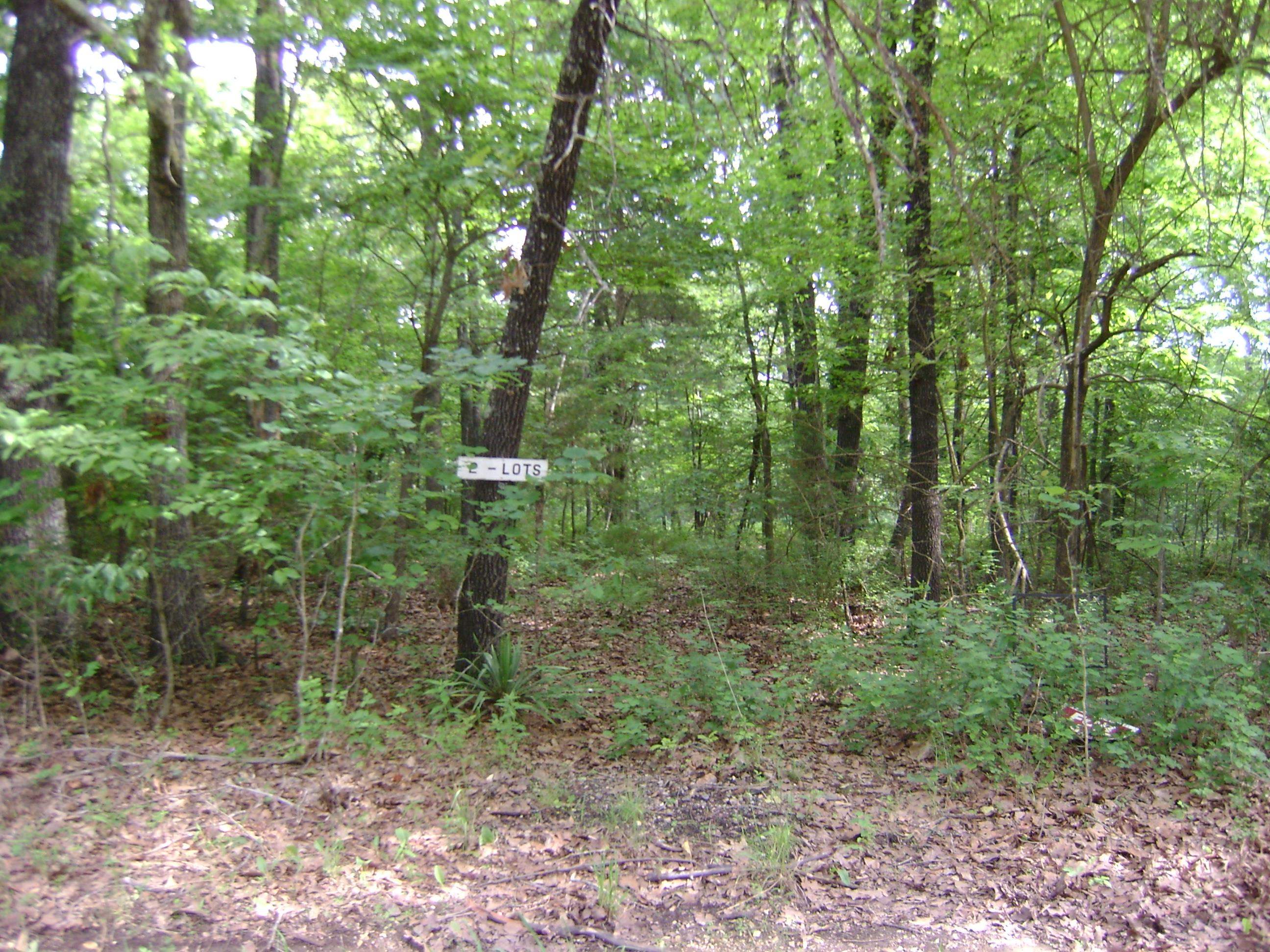 206 & 208 Wedge Road  Horseshoe Bend, AR
