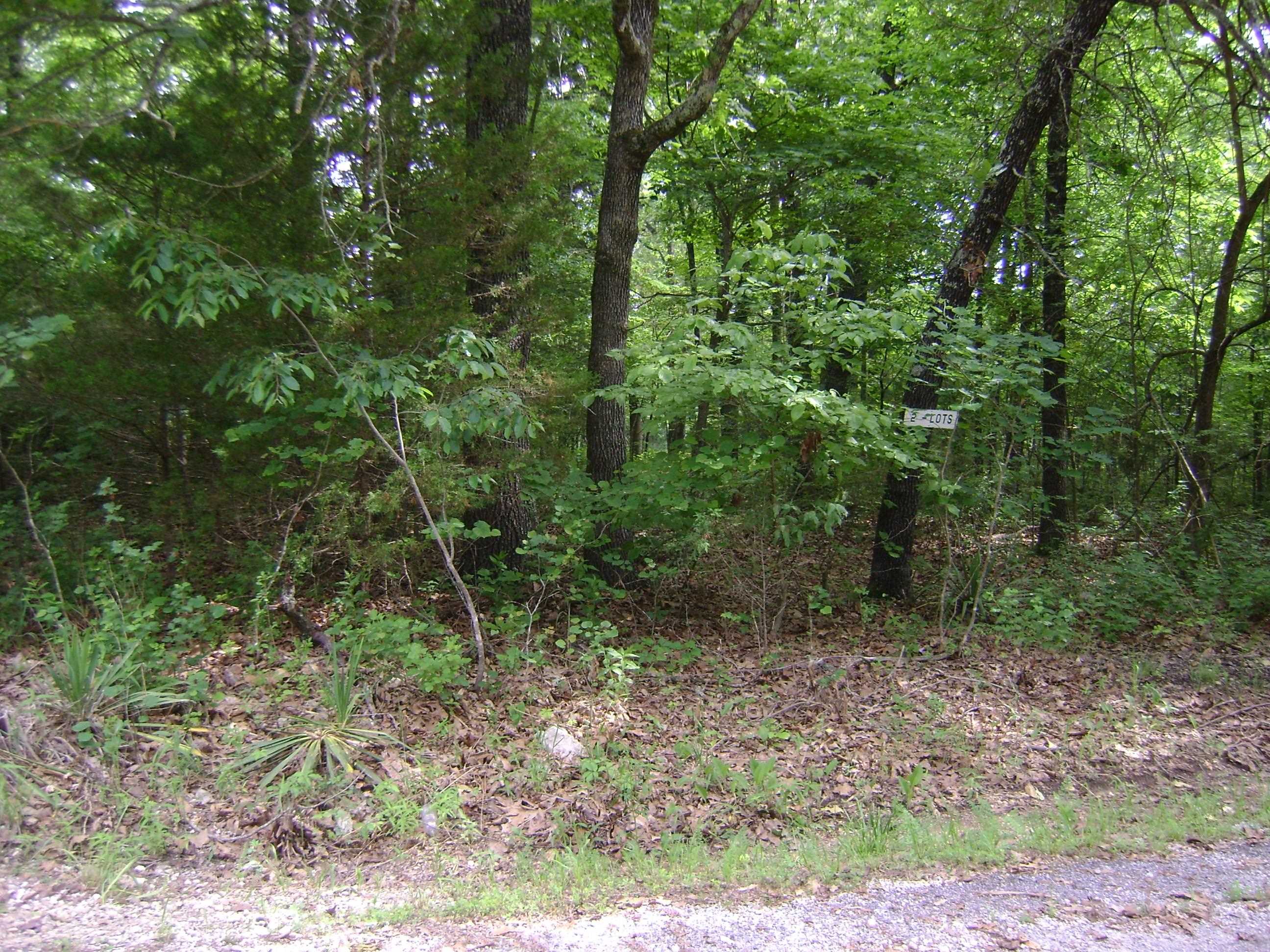 206 & 208 Wedge Road  Horseshoe Bend, AR