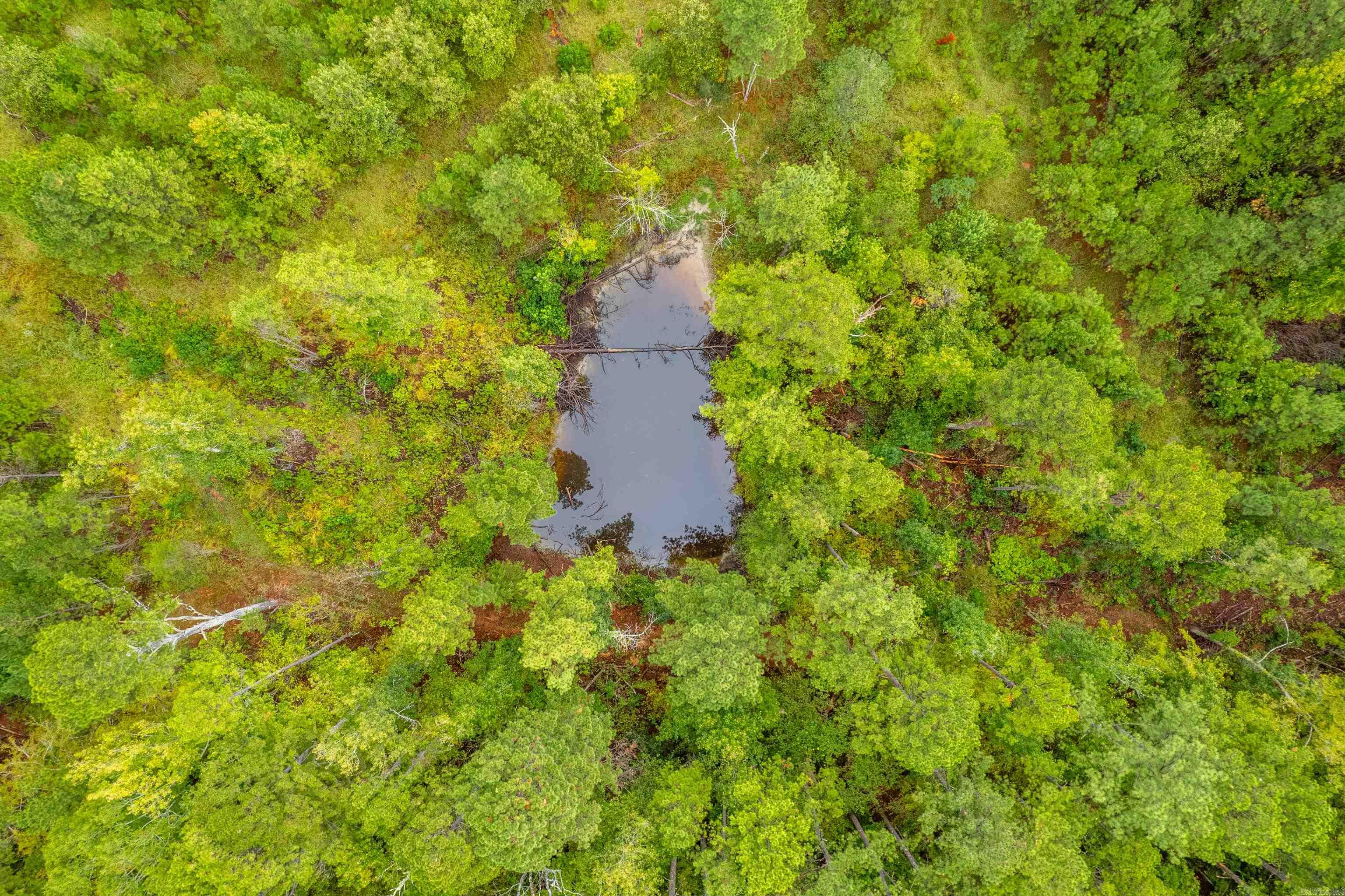 1470A  Calvin Rd  Amity, AR