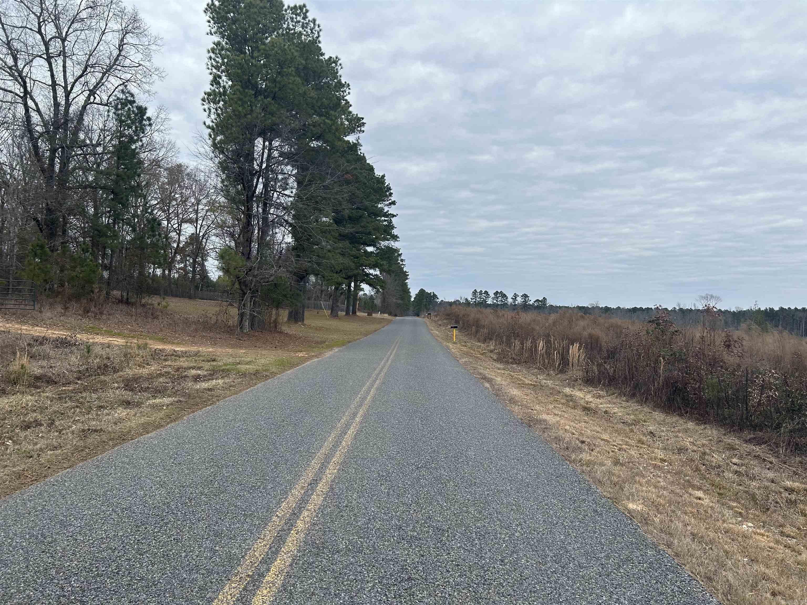 2165  Central  Arkadelphia, AR