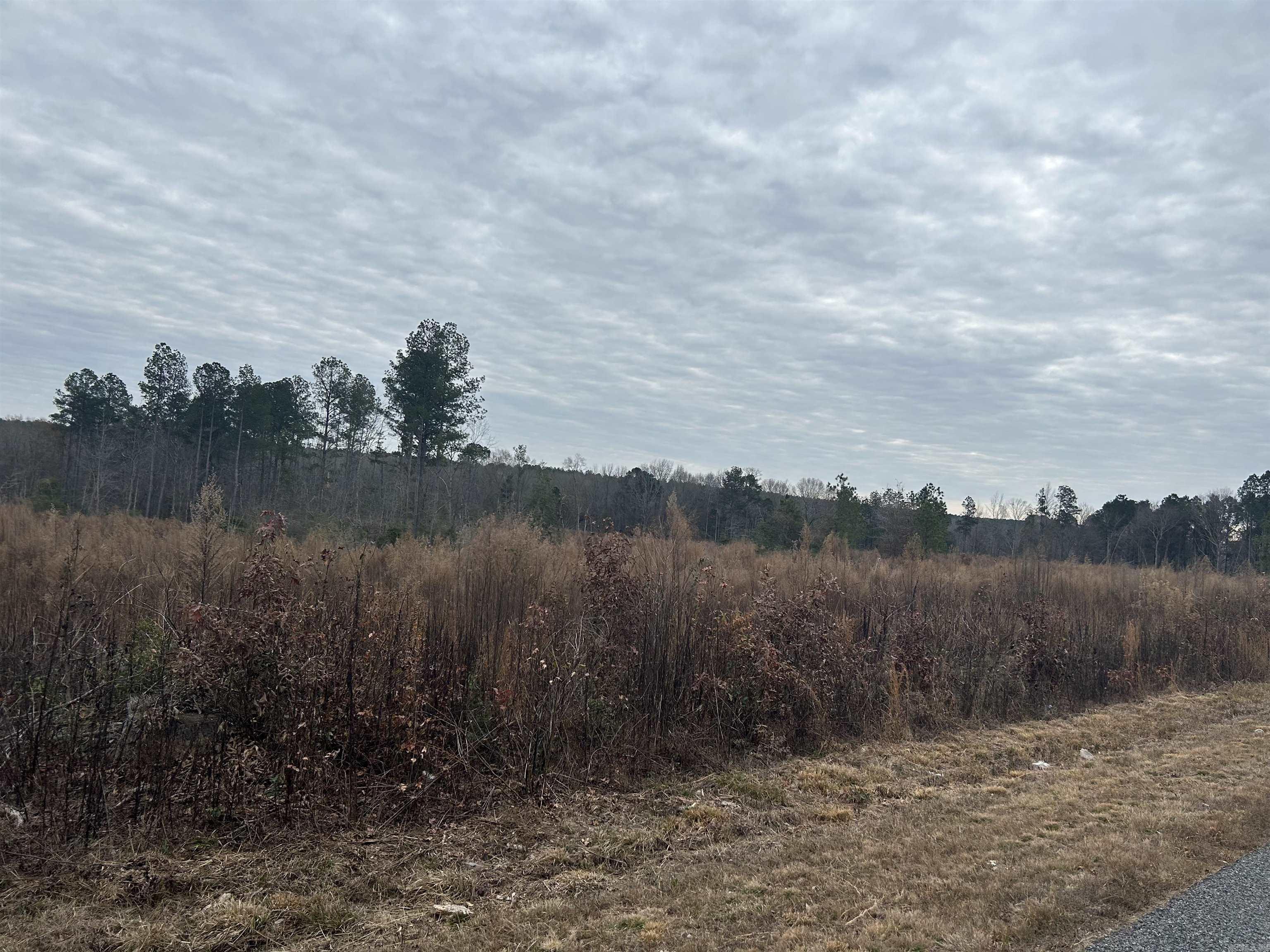 2165  Central  Arkadelphia, AR