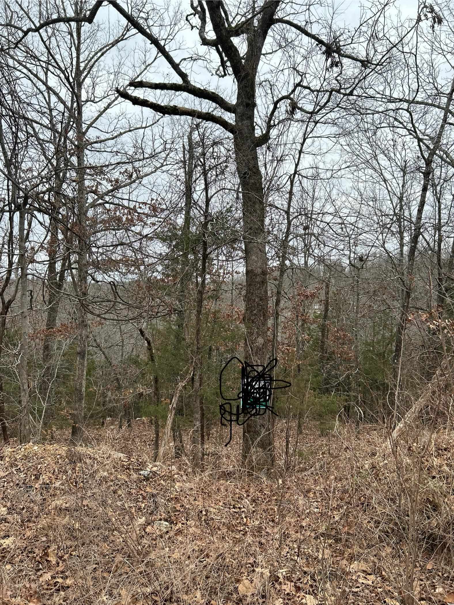 TBD  Deer Run  Cherokee Village, AR