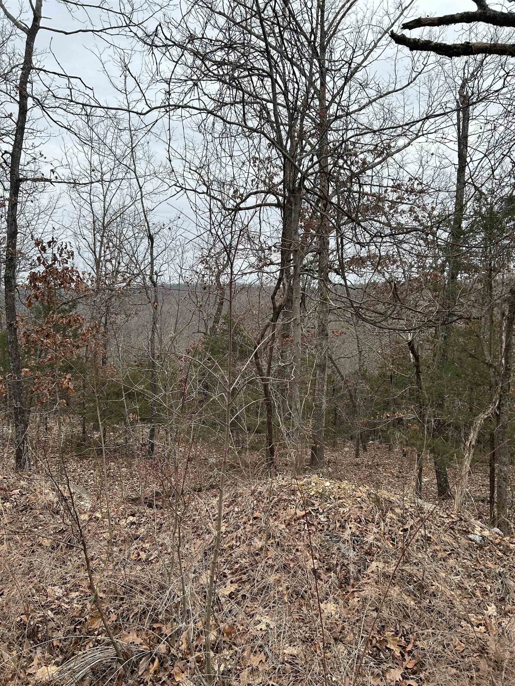 TBD  Deer Run  Cherokee Village, AR
