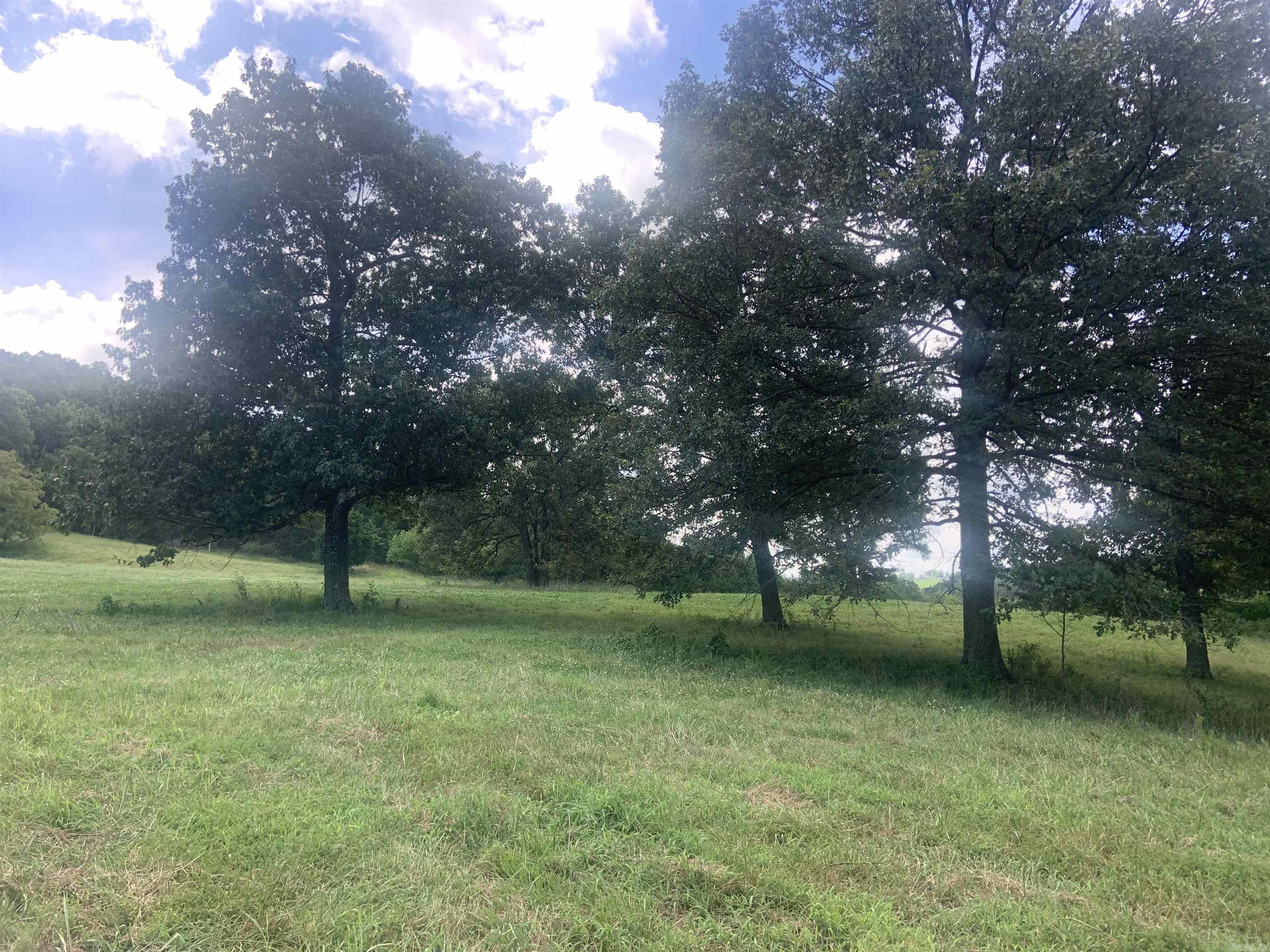 TBD  Cedar Park  Viola, AR