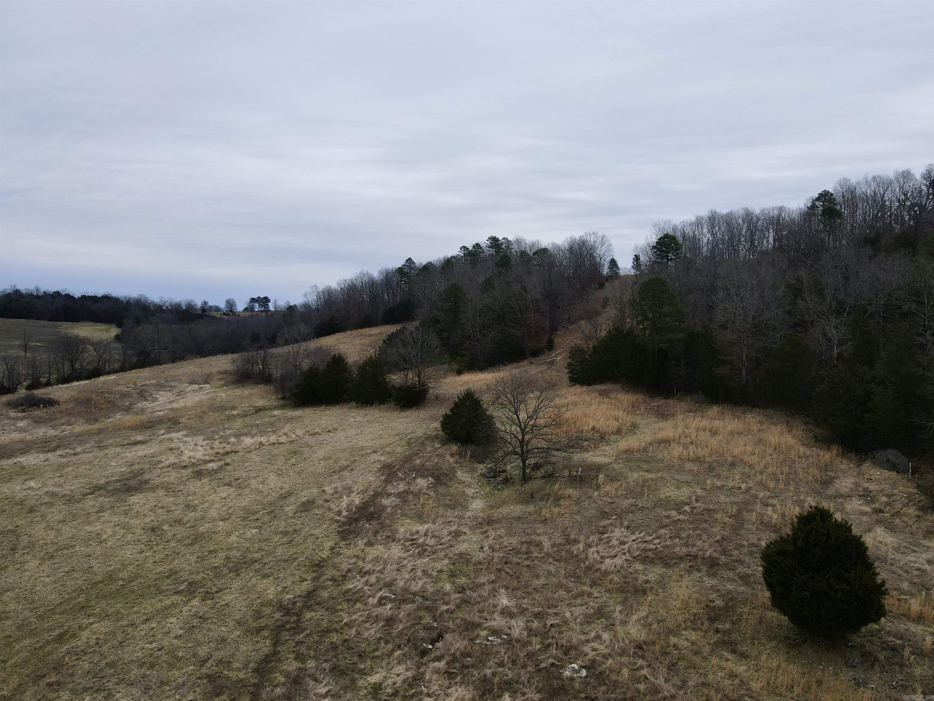 TBD  Cedar Park  Viola, AR