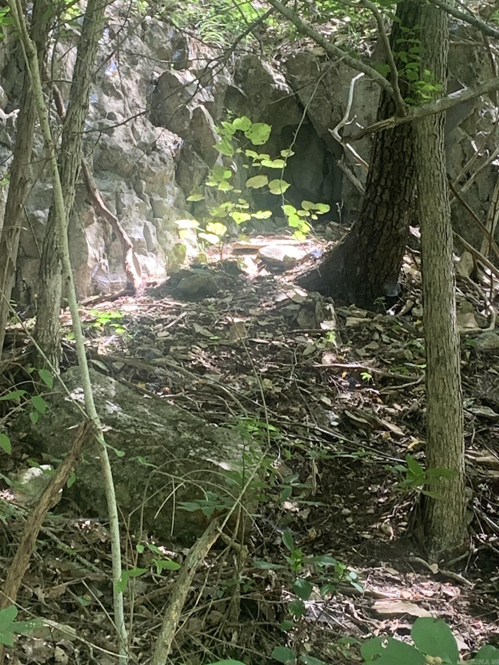 TBD  Cedar Park  Viola, AR