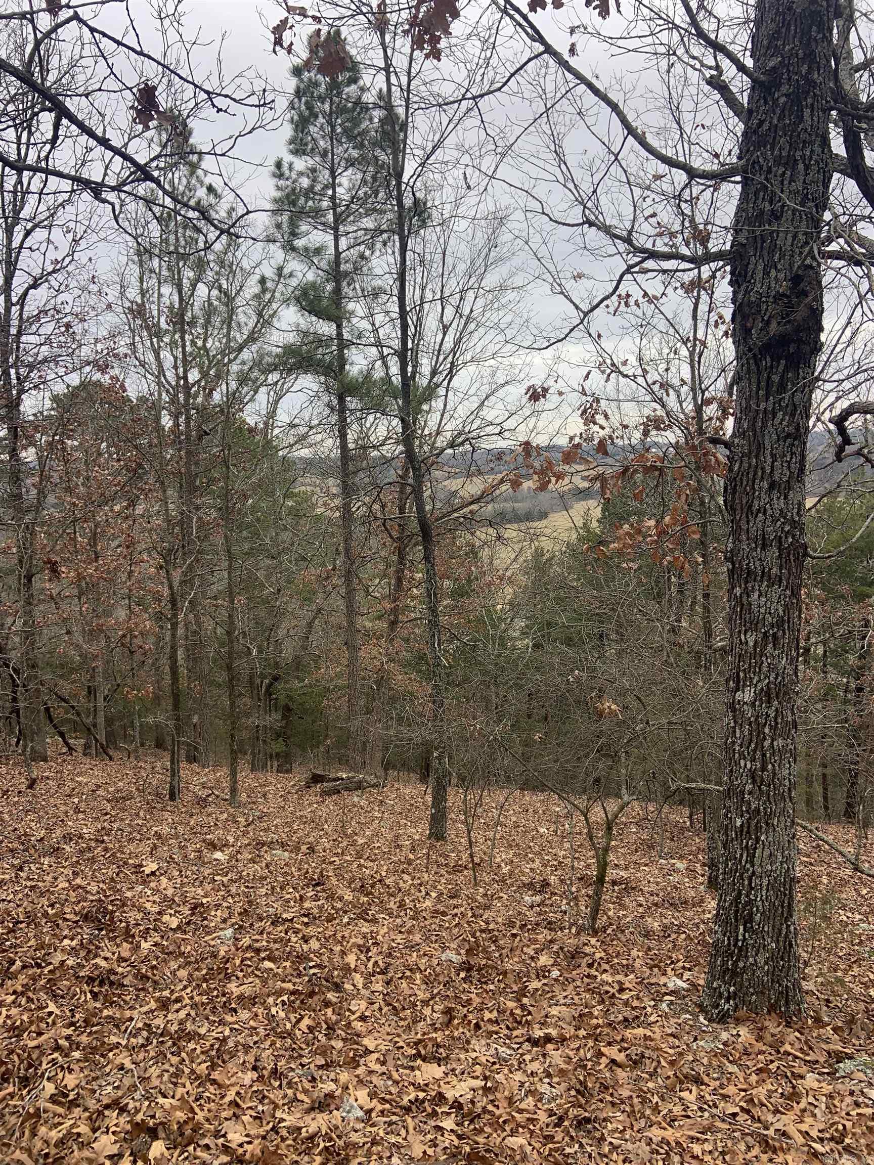 TBD  Cedar Park  Viola, AR
