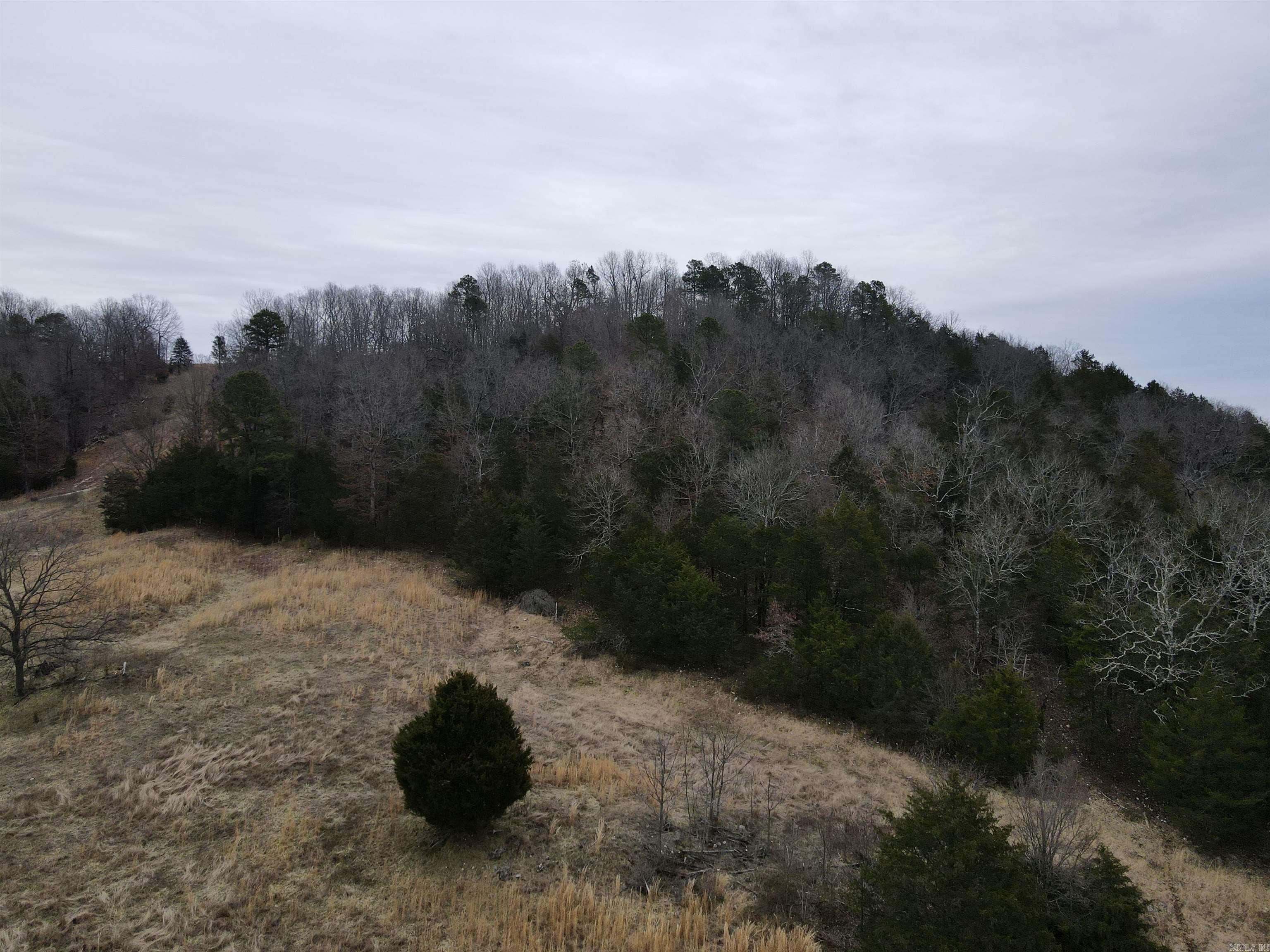 TBD  Cedar Park  Viola, AR