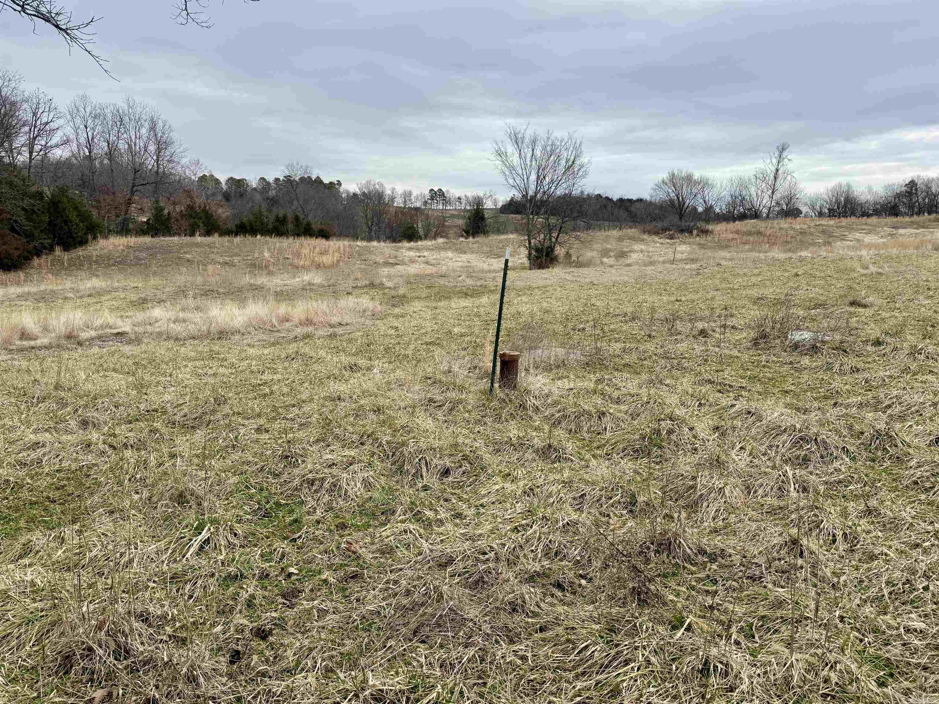 TBD  Cedar Park  Viola, AR