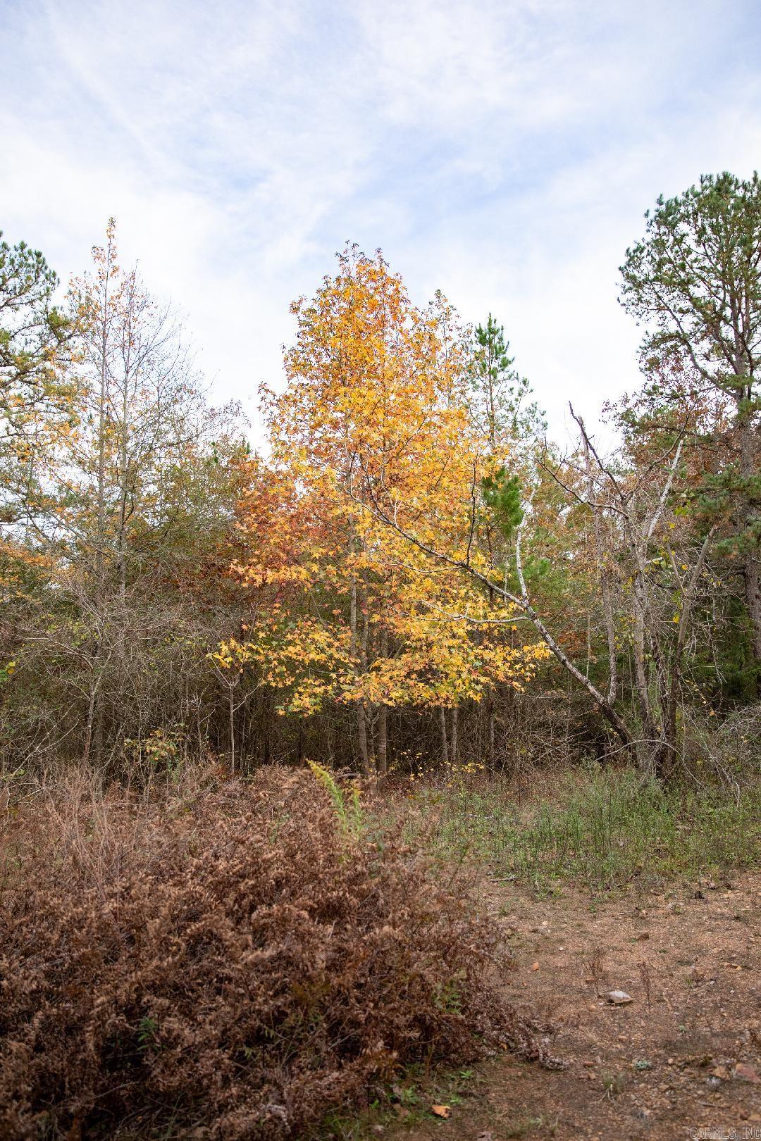 Tract 3  Fieldstone Pass  Pearcy, AR