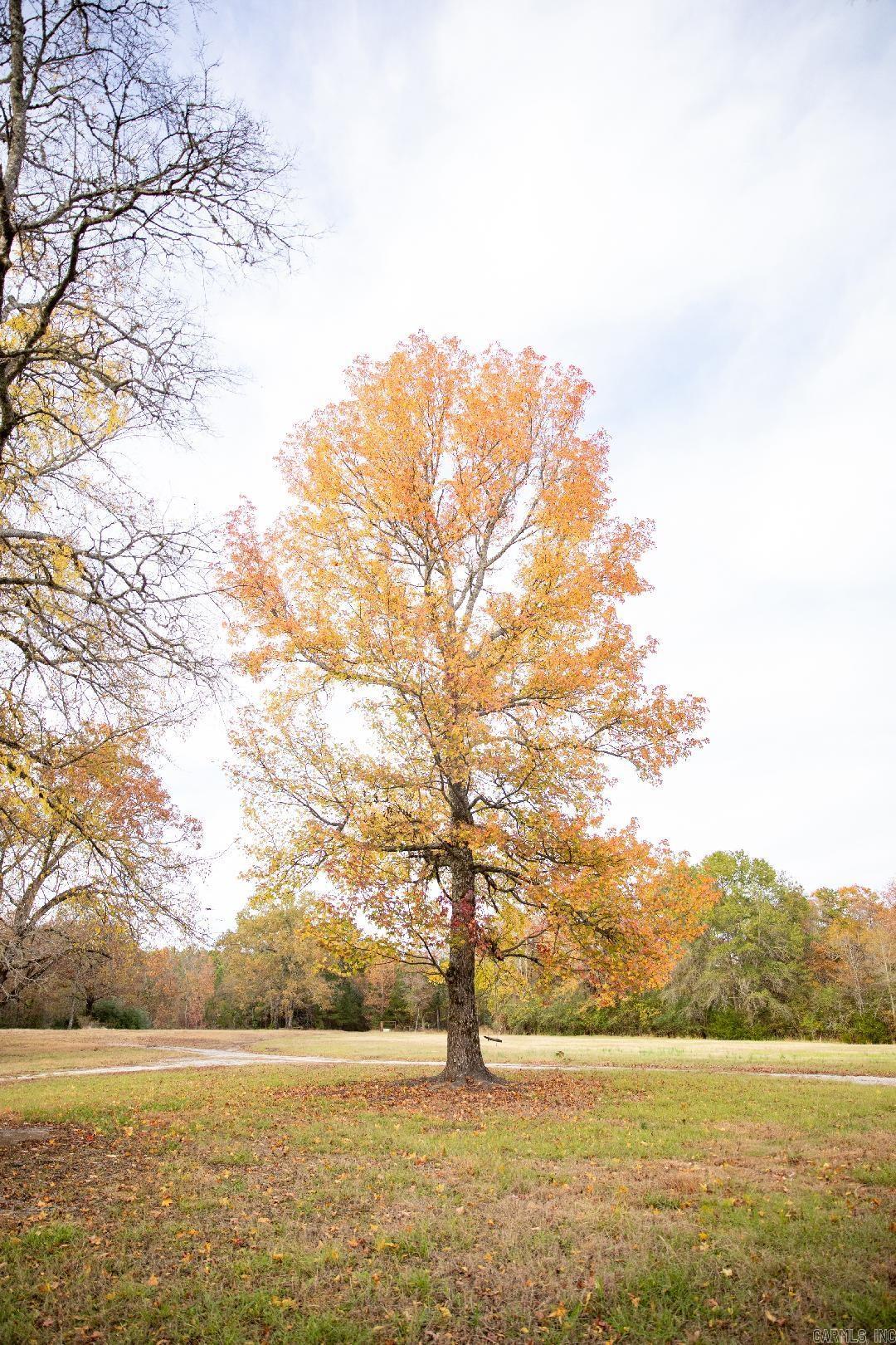 Tract 3  Fieldstone Pass  Pearcy, AR