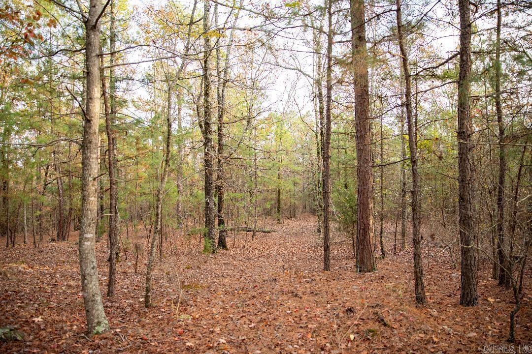 Tract 3  Fieldstone Pass  Pearcy, AR