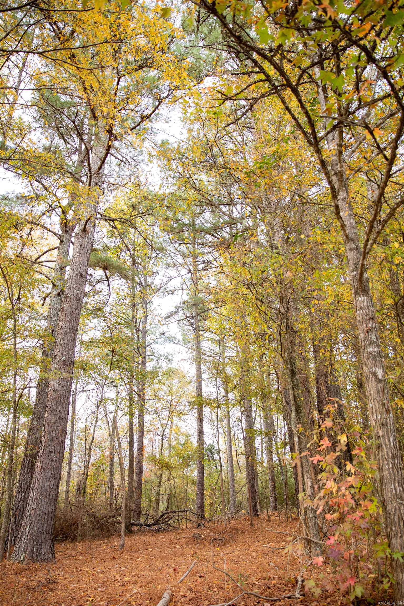 Tract 3  Fieldstone Pass  Pearcy, AR