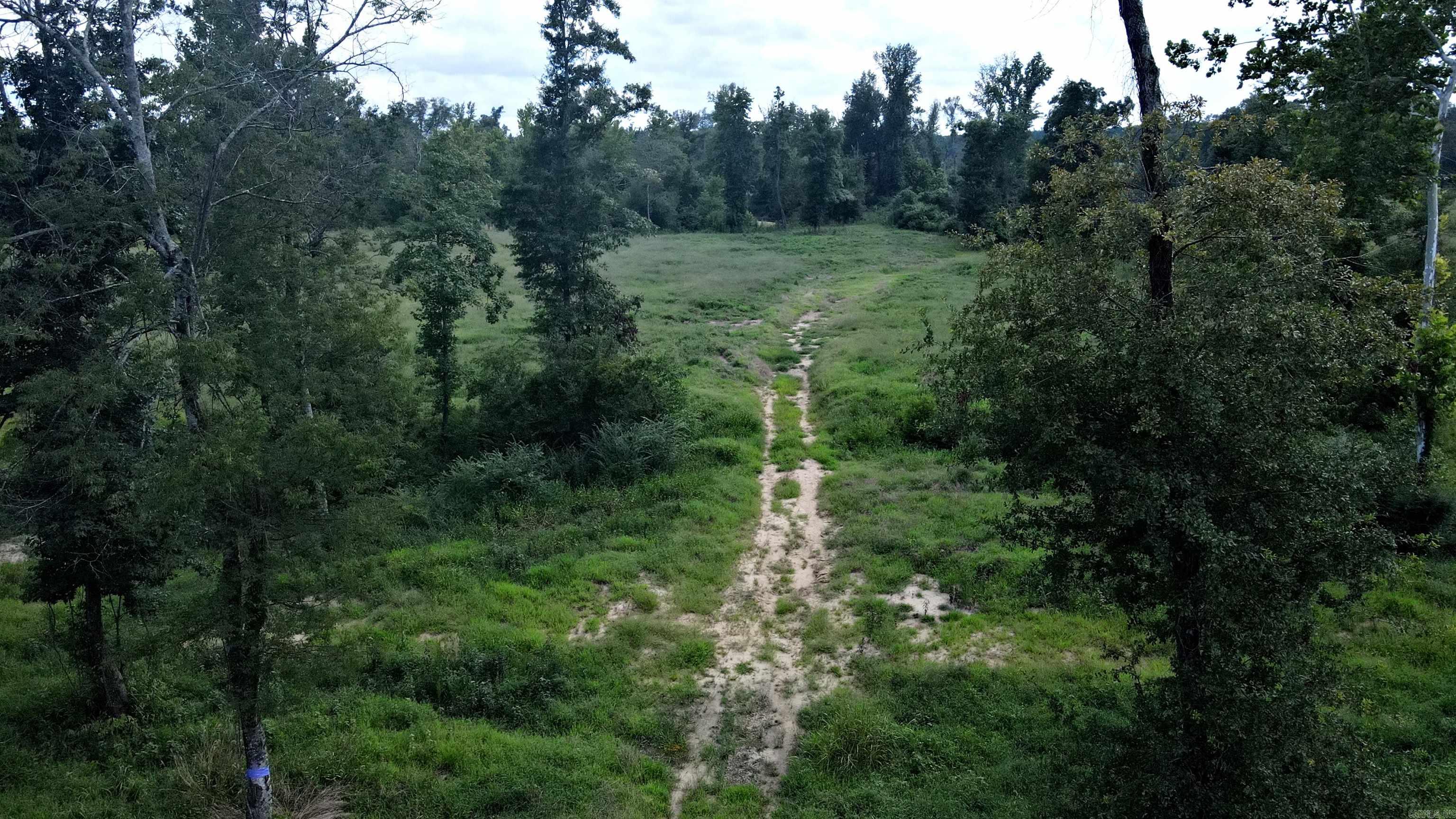 tbd 54.89 Acres N Hwy 53  Arkadelphia, AR